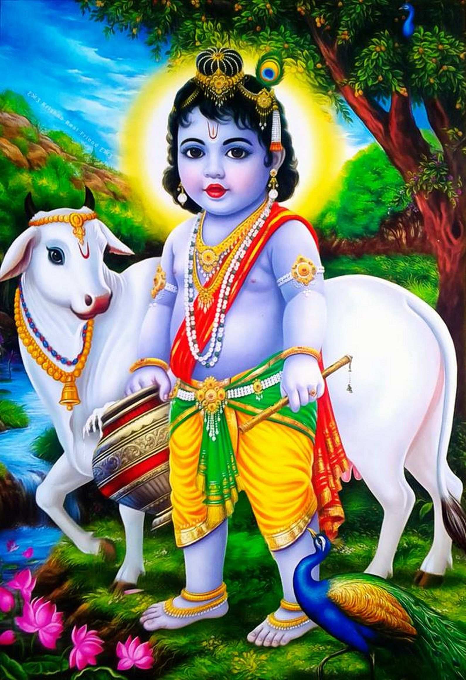 1590x2319 Krishna Childhood Wallpaper