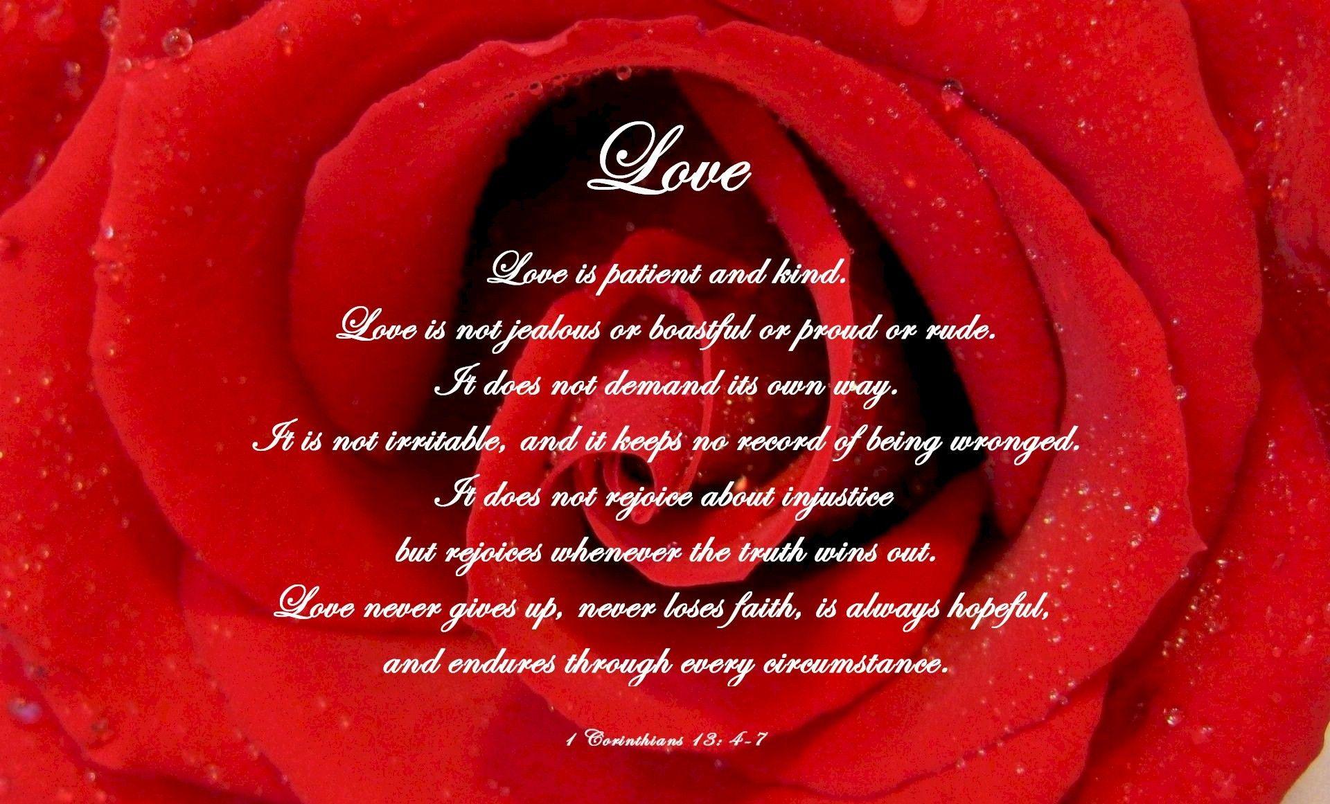 1920x1161 Những câu nói hay nhất về hoa hồng để thể hiện tình yêu của bạn