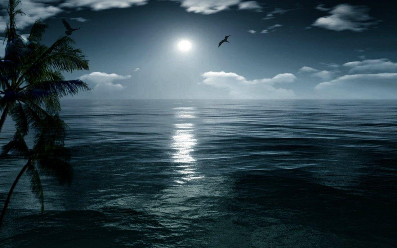 1280x800 Beaches: Night Beauty Moon Nature Beach Desktop Background for HD