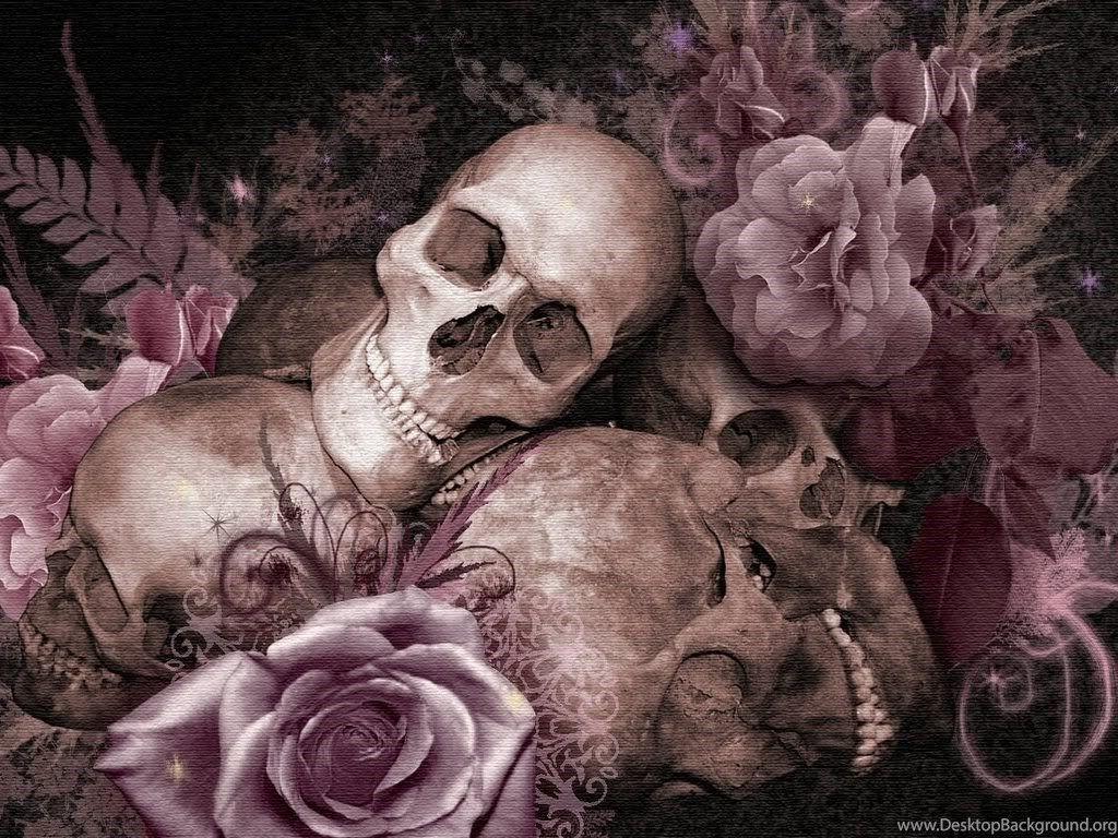 1024x768 Skull And Roses Wallpaper Free Download 44 Cerc Ug Roses