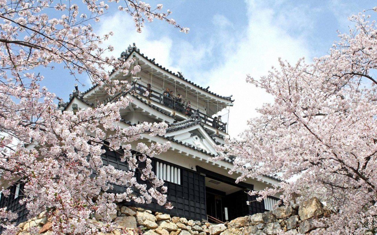 1280x800 Hamamatsu Castle Japan 1280x800 Wallpaper, Hamamatsu Castle 1280x800