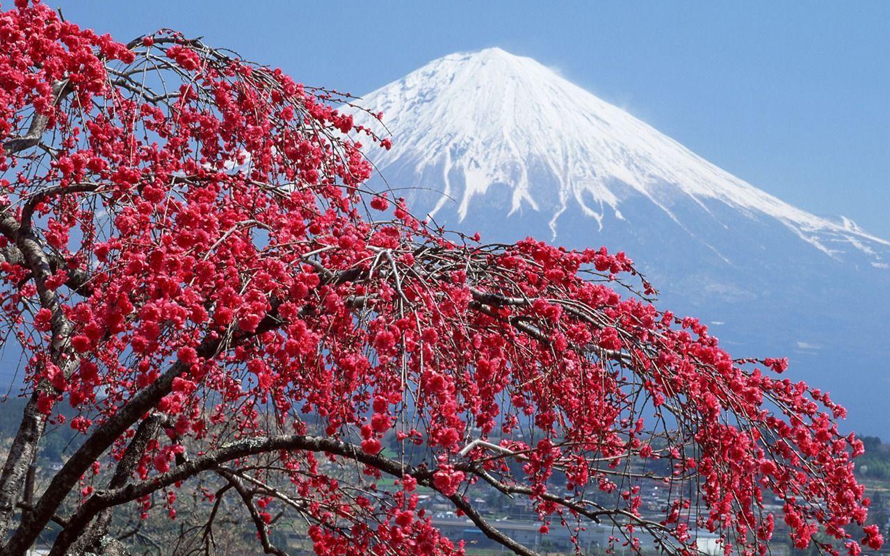 1280x800 Mount Fuji, Japan wallpaper (1) Wallpaper Download