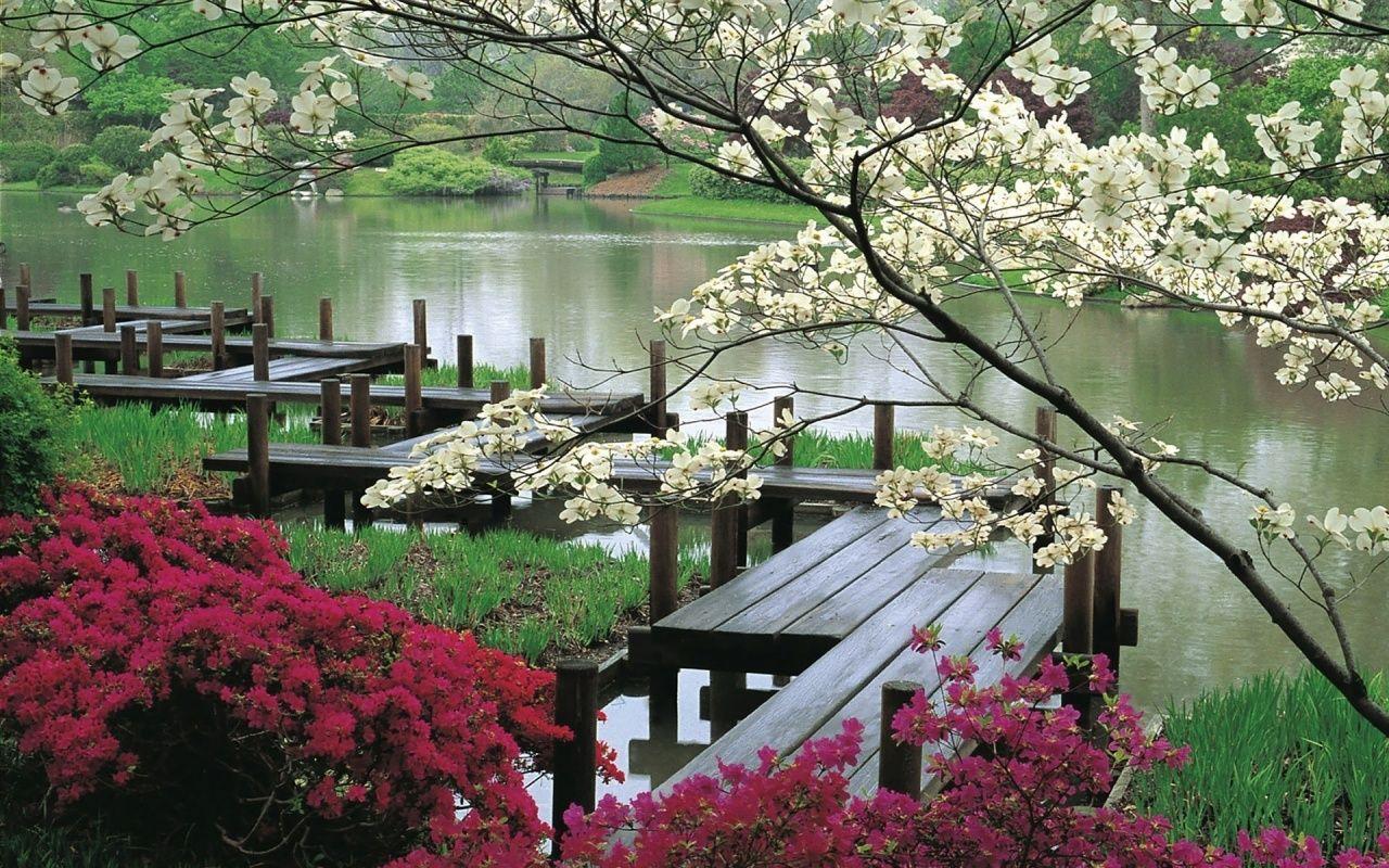 1280x800 Japanese Garden & Lake desktop PC and Mac wallpaper
