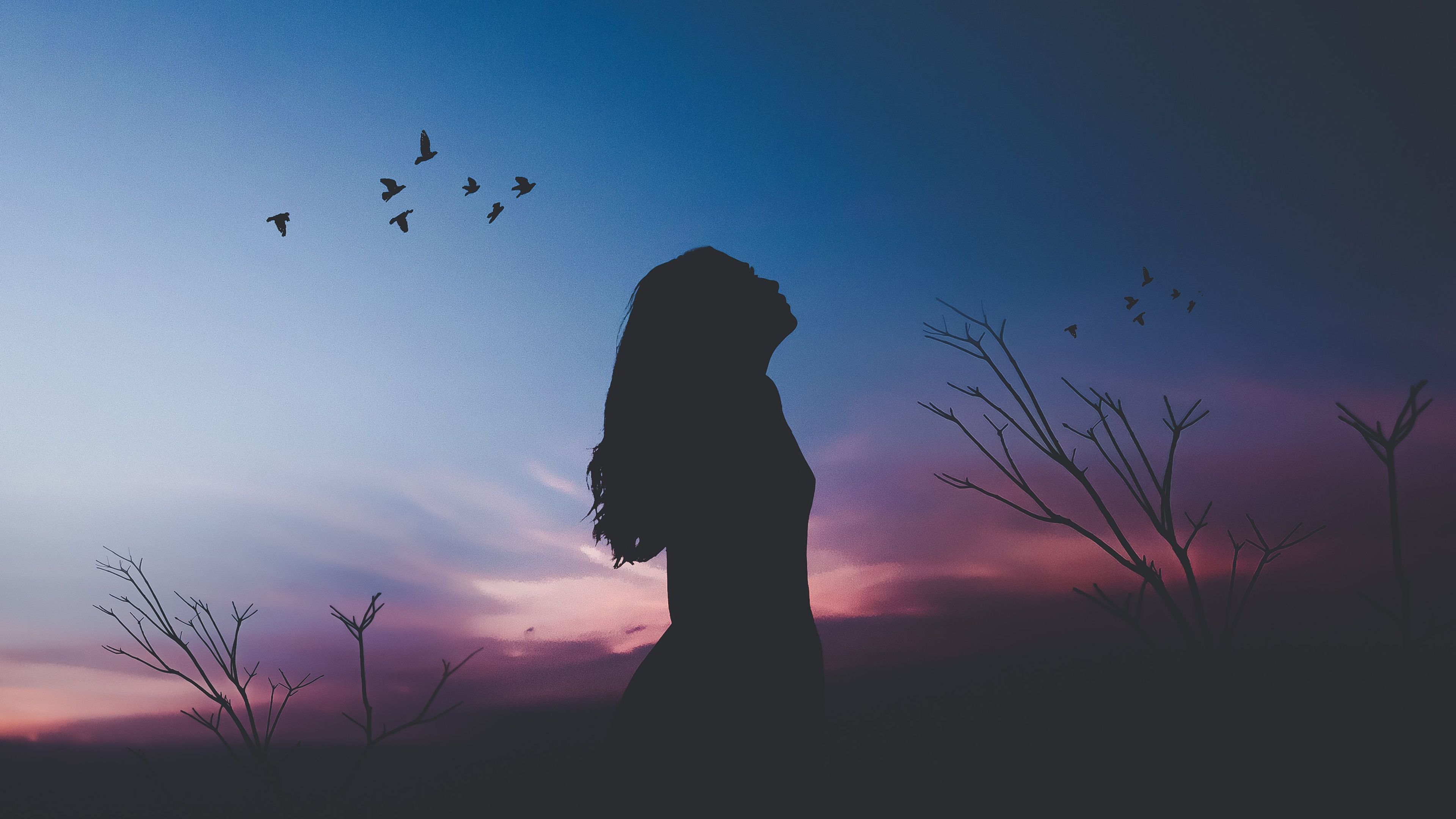 3840x2160 Girl Wallpaper 4K, Twilight, Silhouette, Sunset