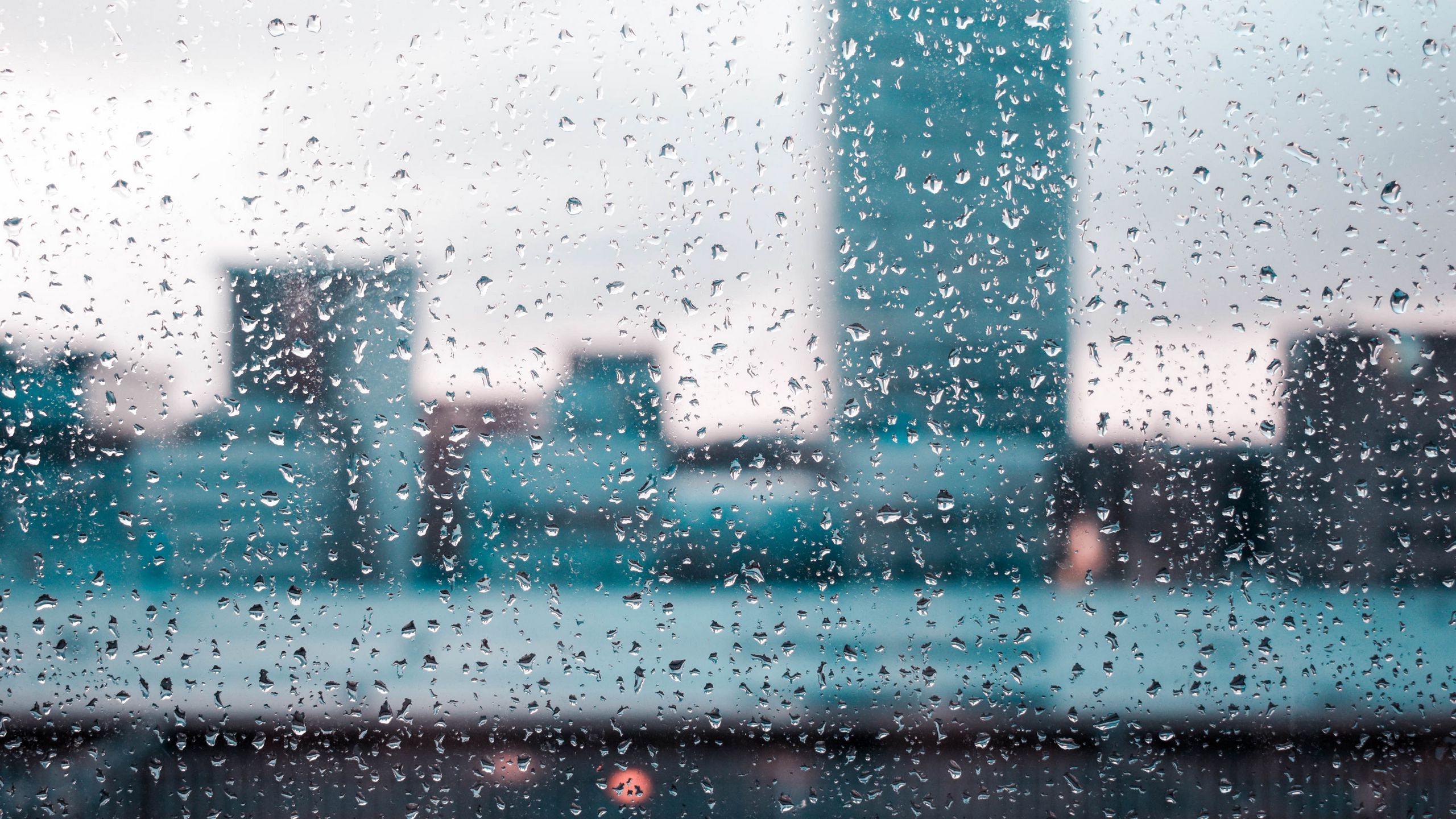 2560x1440 Download wallpaper 2560x1440 rain, glass, drops, blur, window widescreen 16:9 HD background
