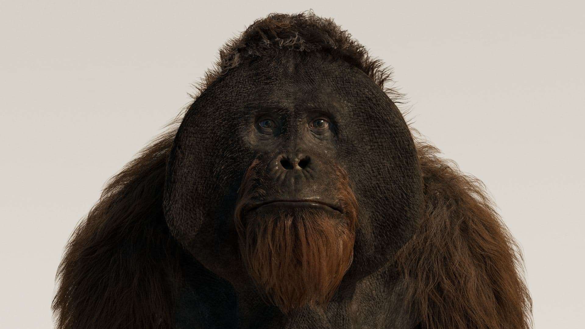 1920x1080 Creating a photorealistic CGI orangutan for film production
