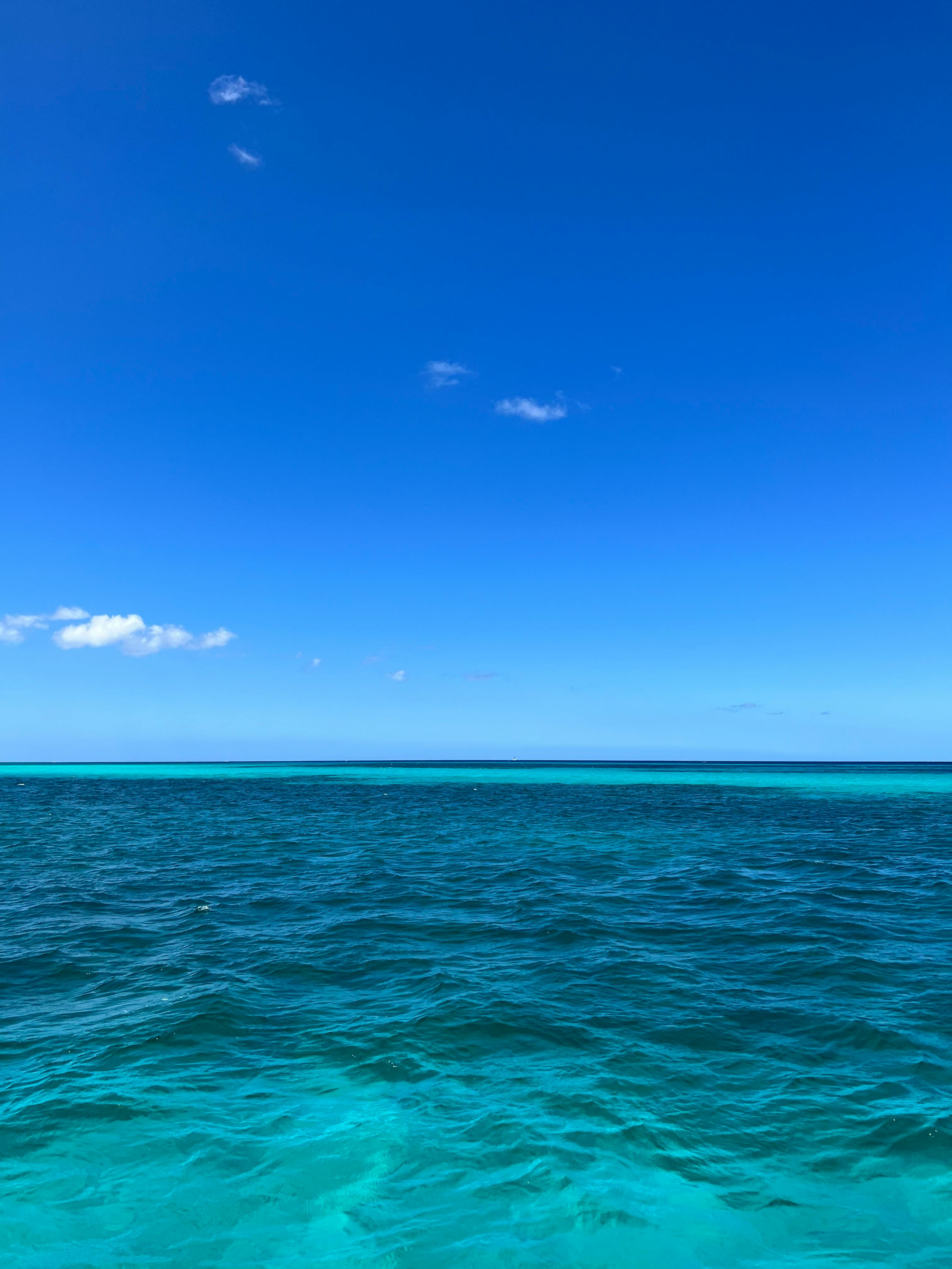 3024x4032 Clear Blue Shore · Free