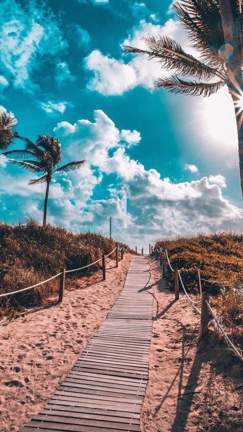 800x1422 Summer Aesthetic, Summer Aesthetic. Summer tumblr, Summer background, iphone summer, HD phone wallpaper