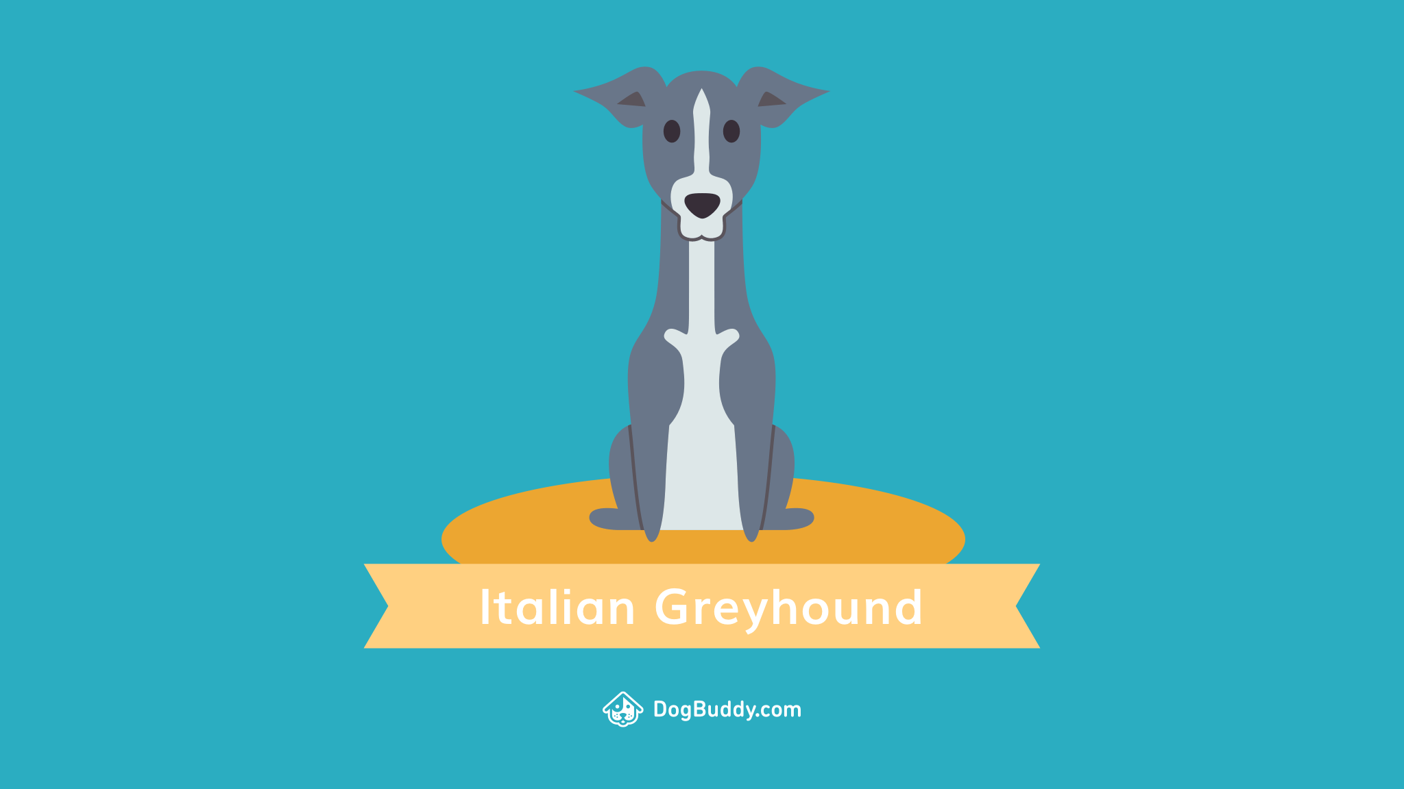 2048x1152 Woofpaper: Italian Greyhound