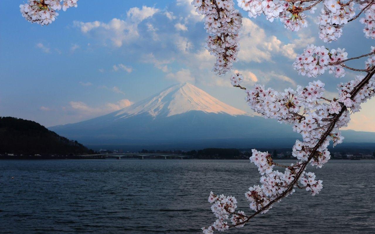 1280x800 Mountains: Lake Cherry Scenery Flowers Mountain Sakura Nature Japan