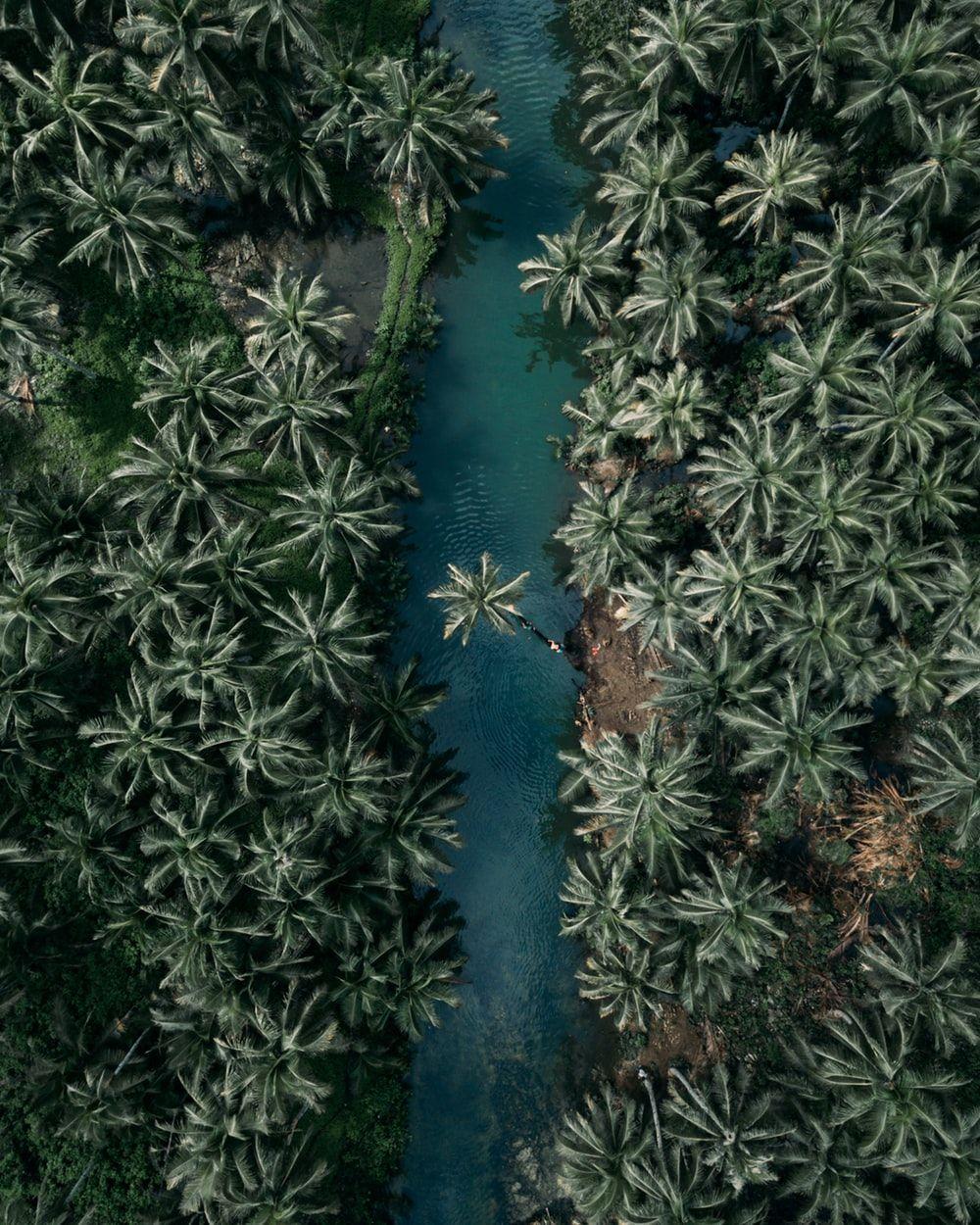 1000x1250 Hình Nền iPhone: Tải xuống HD Miễn Phí [HQ)
