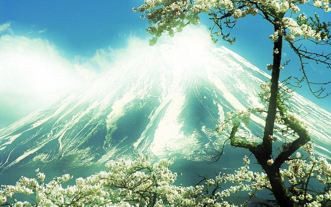 1280x800 Mount Fuji Surrounded by Cherry Blossoms, Japan (green) widescreen