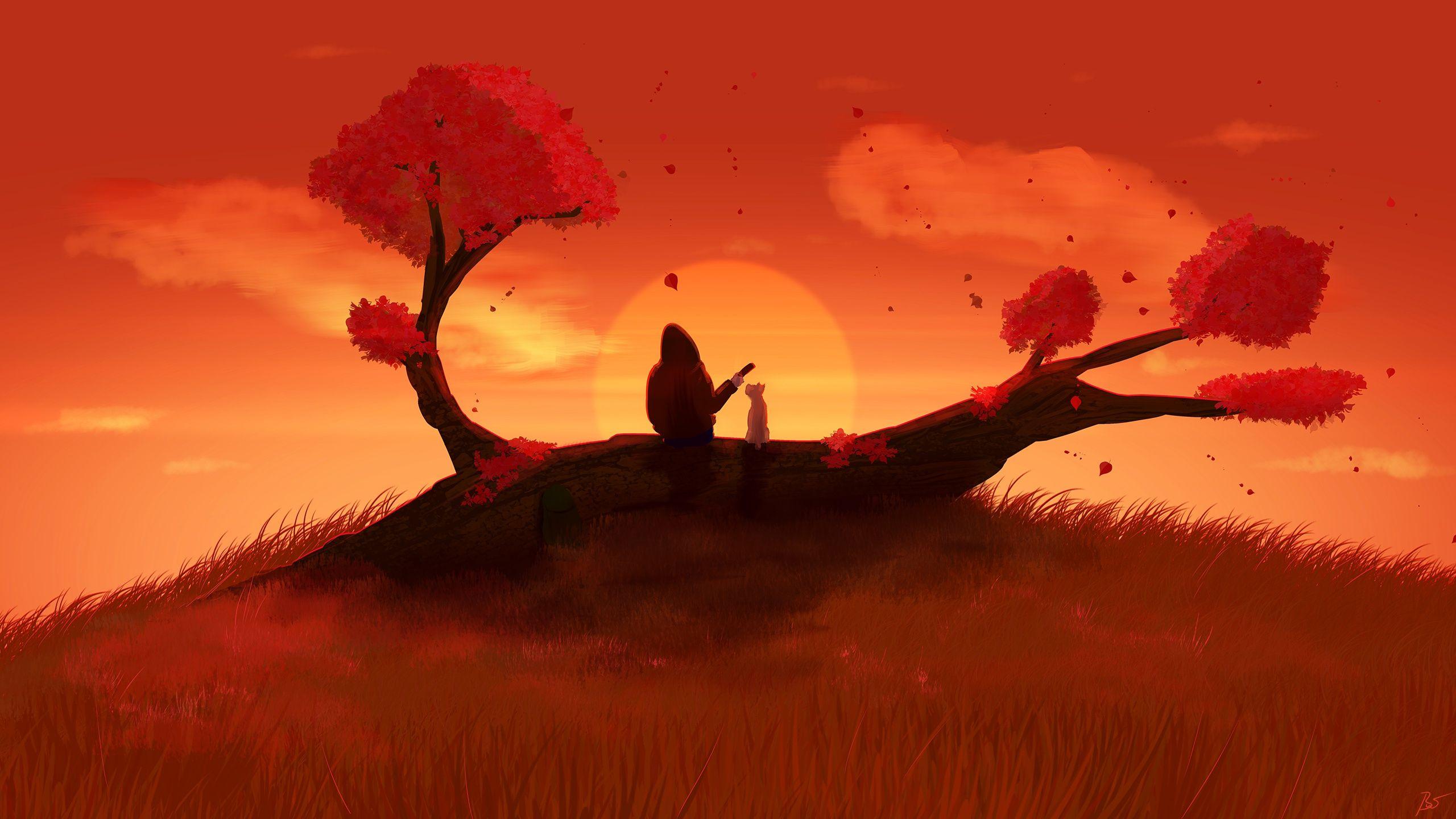 2560x1440 bạn https://wallpaperaccess.com/full/2471240.jpg