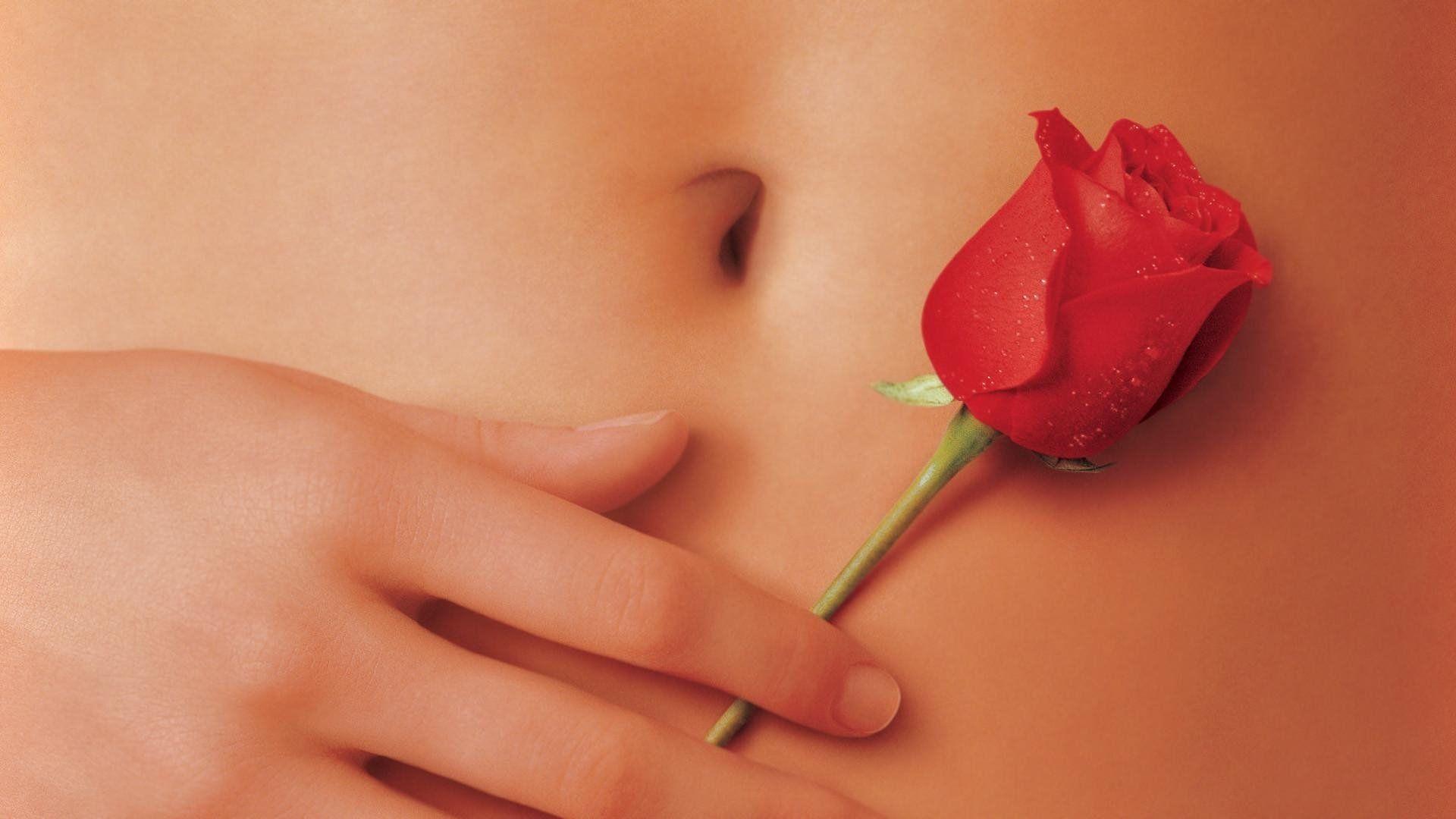 1920x1080 American Beauty HD Wallpaper and Background Image