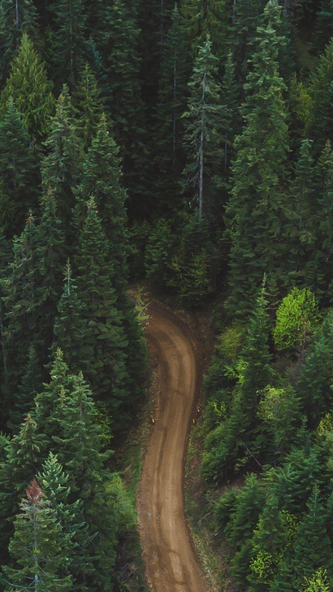 1080x1920 Aerial view of a road inside the forest HD Wallpaper iPhone 6 / 6S Plus