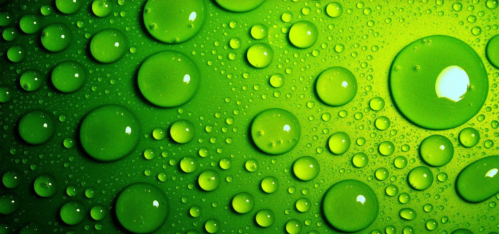Green Water Photos Download The BEST Free Green Water Stock Photos  HD  Images