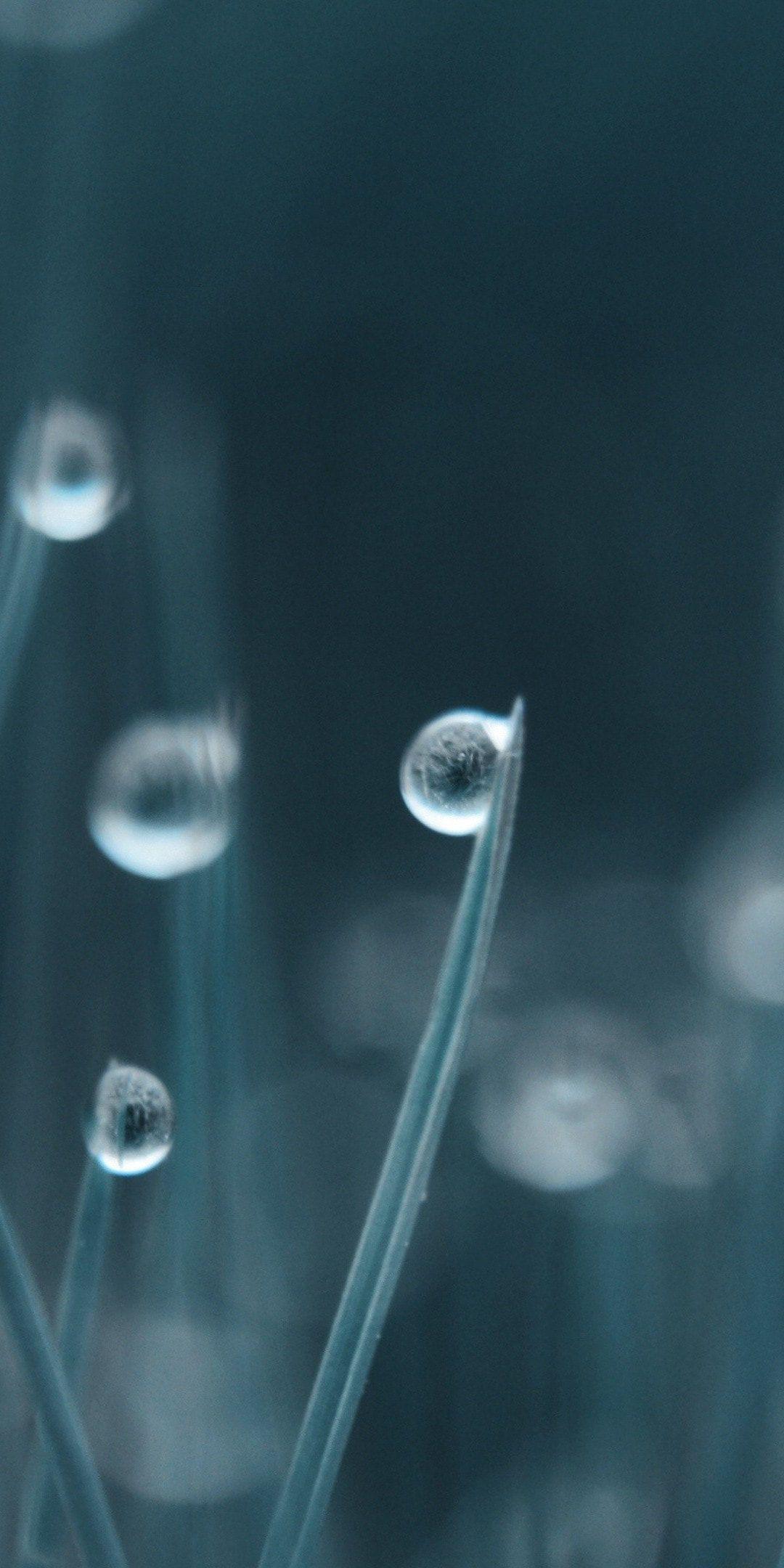 1080x2160 Huawei Mate 10 Pro 18:9 Wallpaper HD Wallpaper