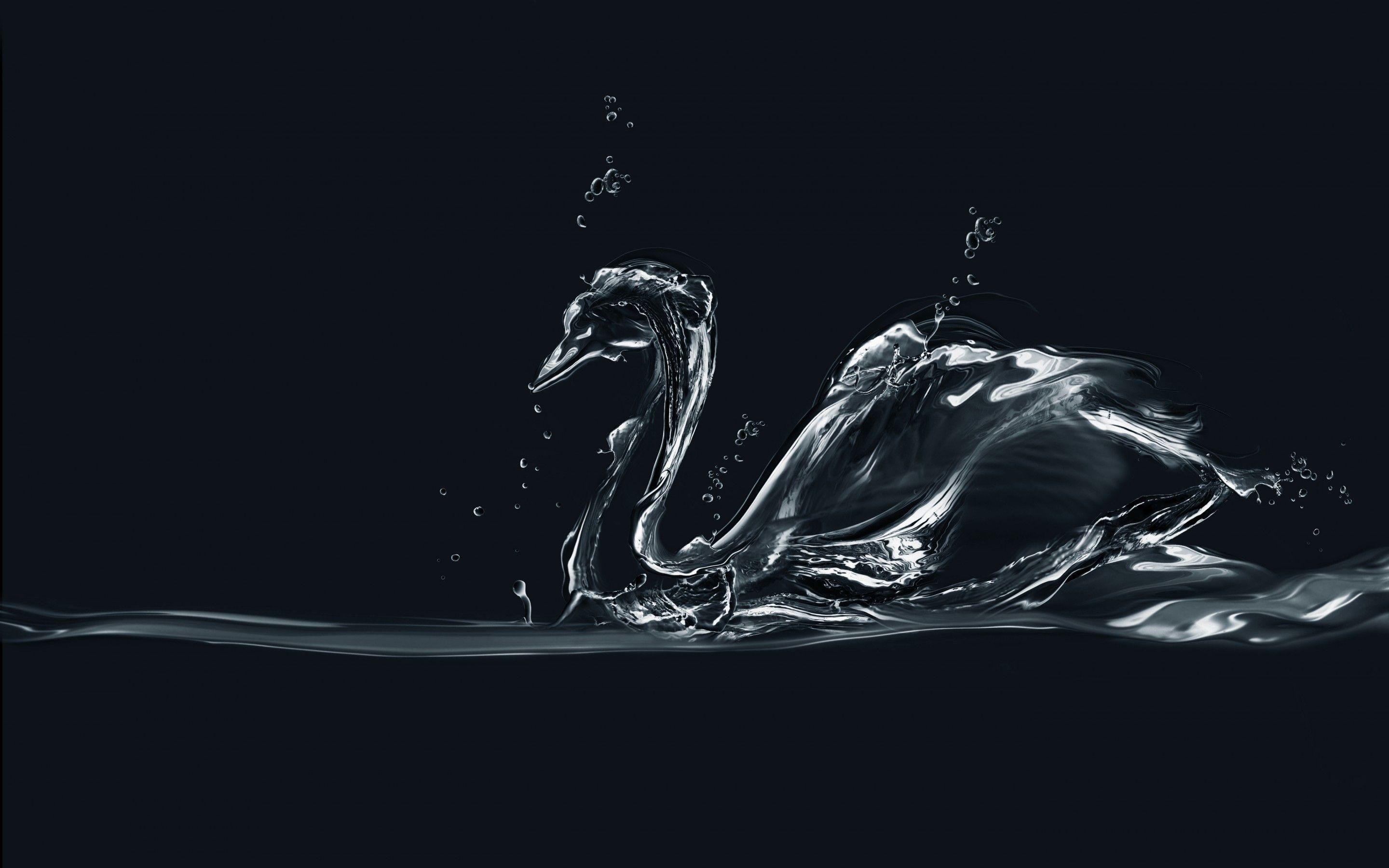 2880x1800 Hd Wallpaper HD Water Drop Animal Wallpaper