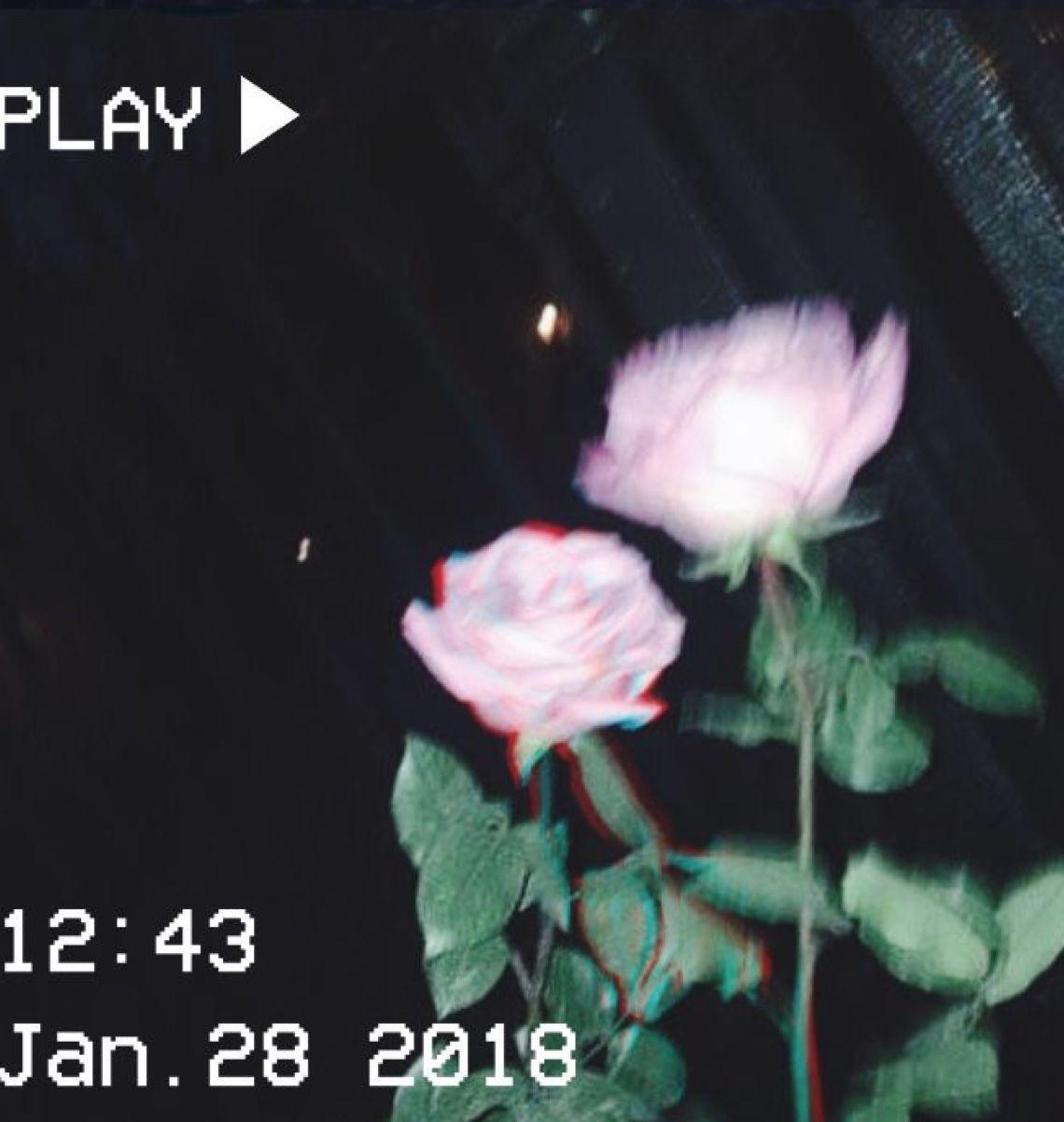 1140x1202 Roses for a pretty boy, like jiminie. Pink aesthetic, Aesthetic