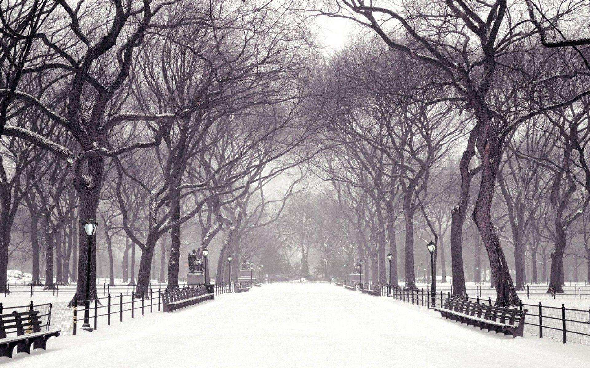 1920x1200 Hình nền mùa đông thành phố New York