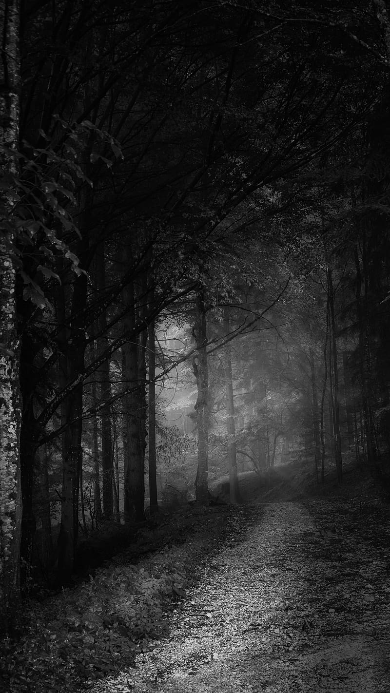 800x1422 Full Black Nature, full black, HD phone wallpaper