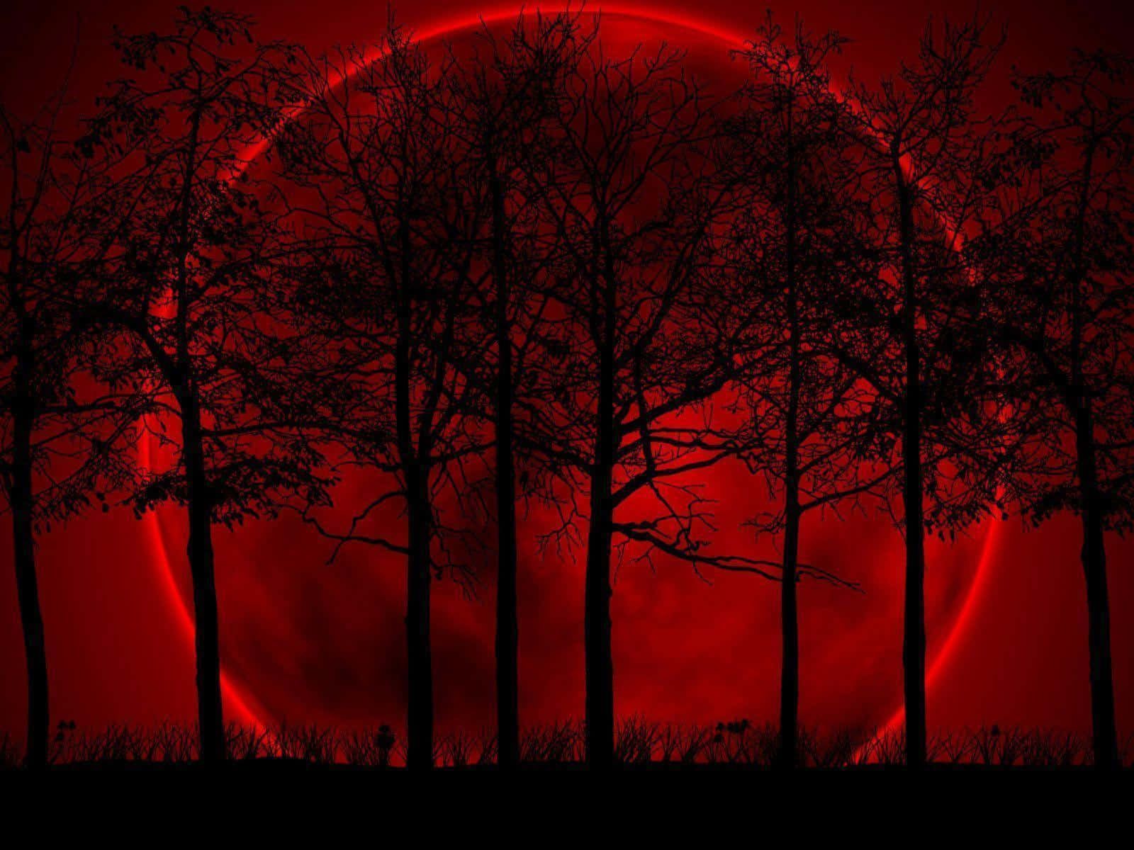 1600x1200 1080p Red And Black Background