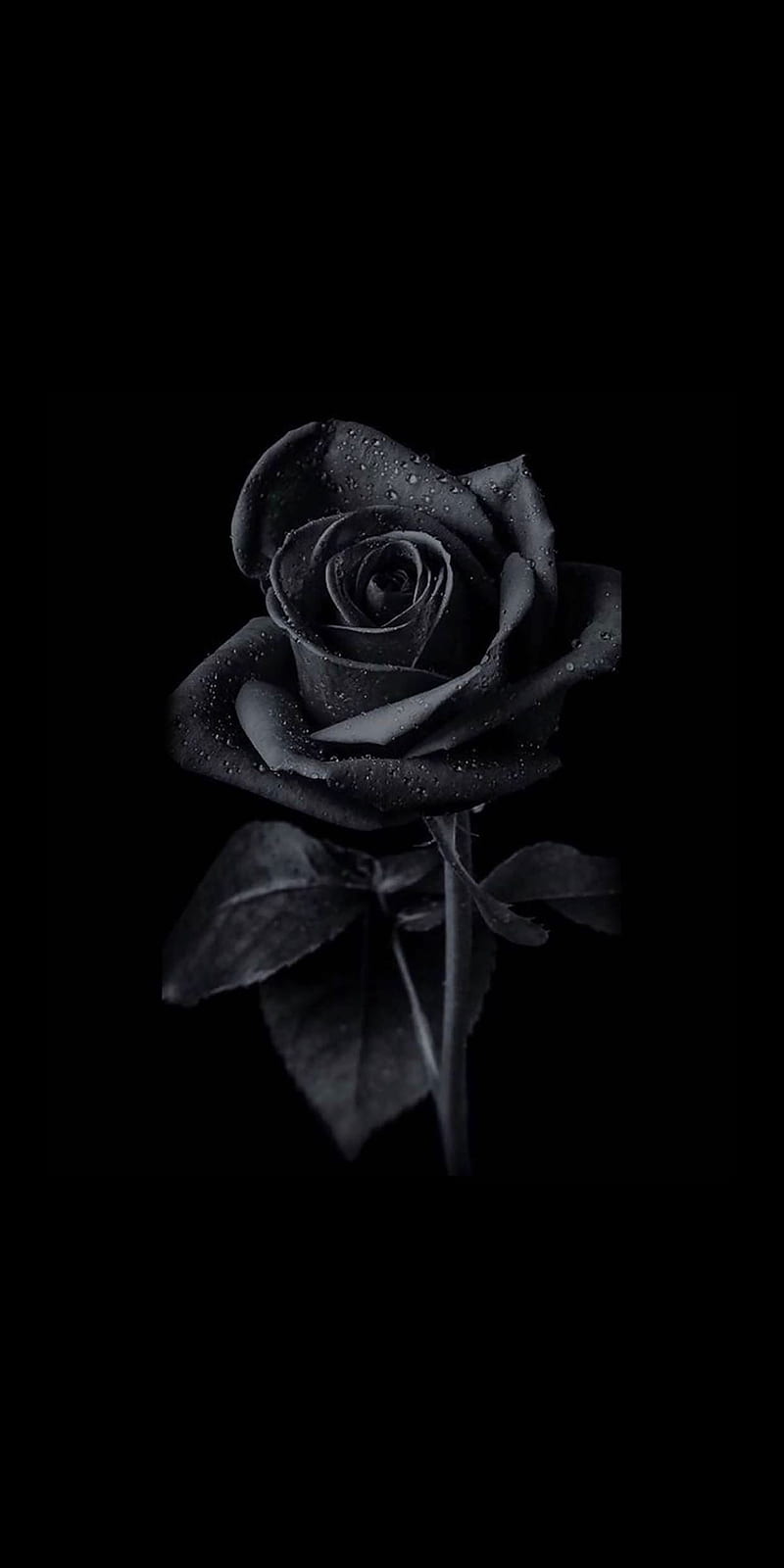 800x1600 HD black wallpaper