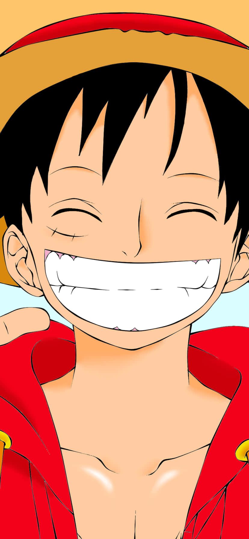 828x1792 Download Cute Smiling Monkey D Luffy One Piece Luffy iPhone Wallpaper