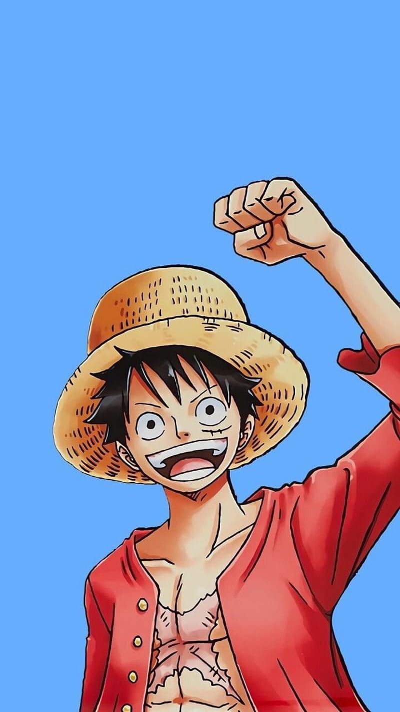 800x1422 One Piece Luffy, anime, monkey d luffy, mugiwara, one piece, HD phone wallpaper