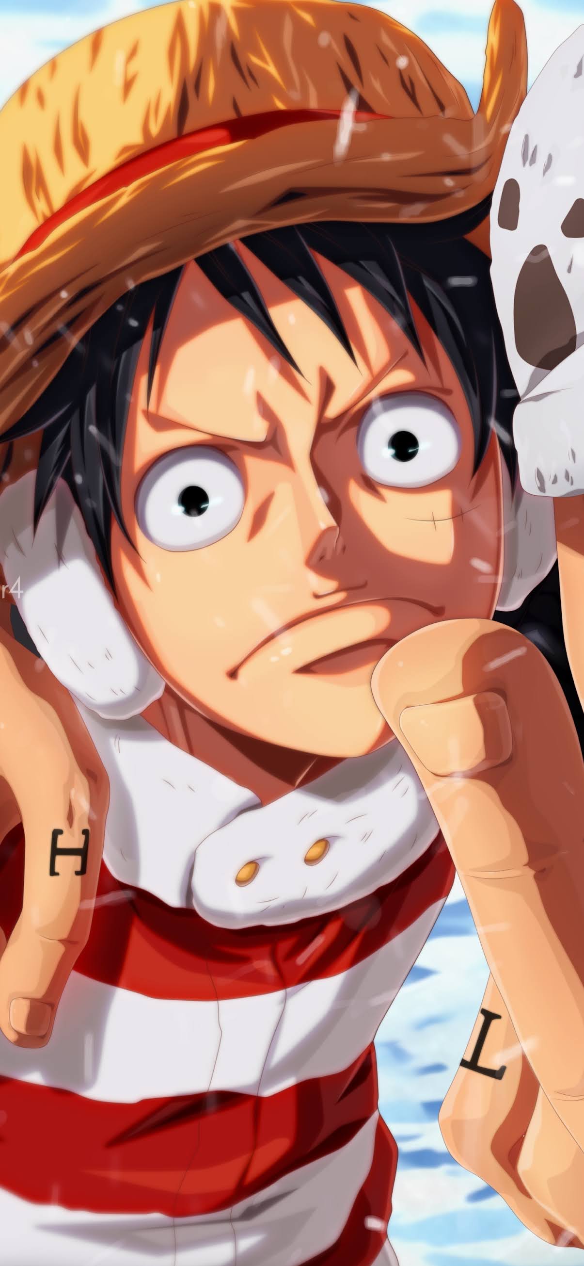1205x2610 One Piece D. Luffy phone wallpaper Mobile Walls