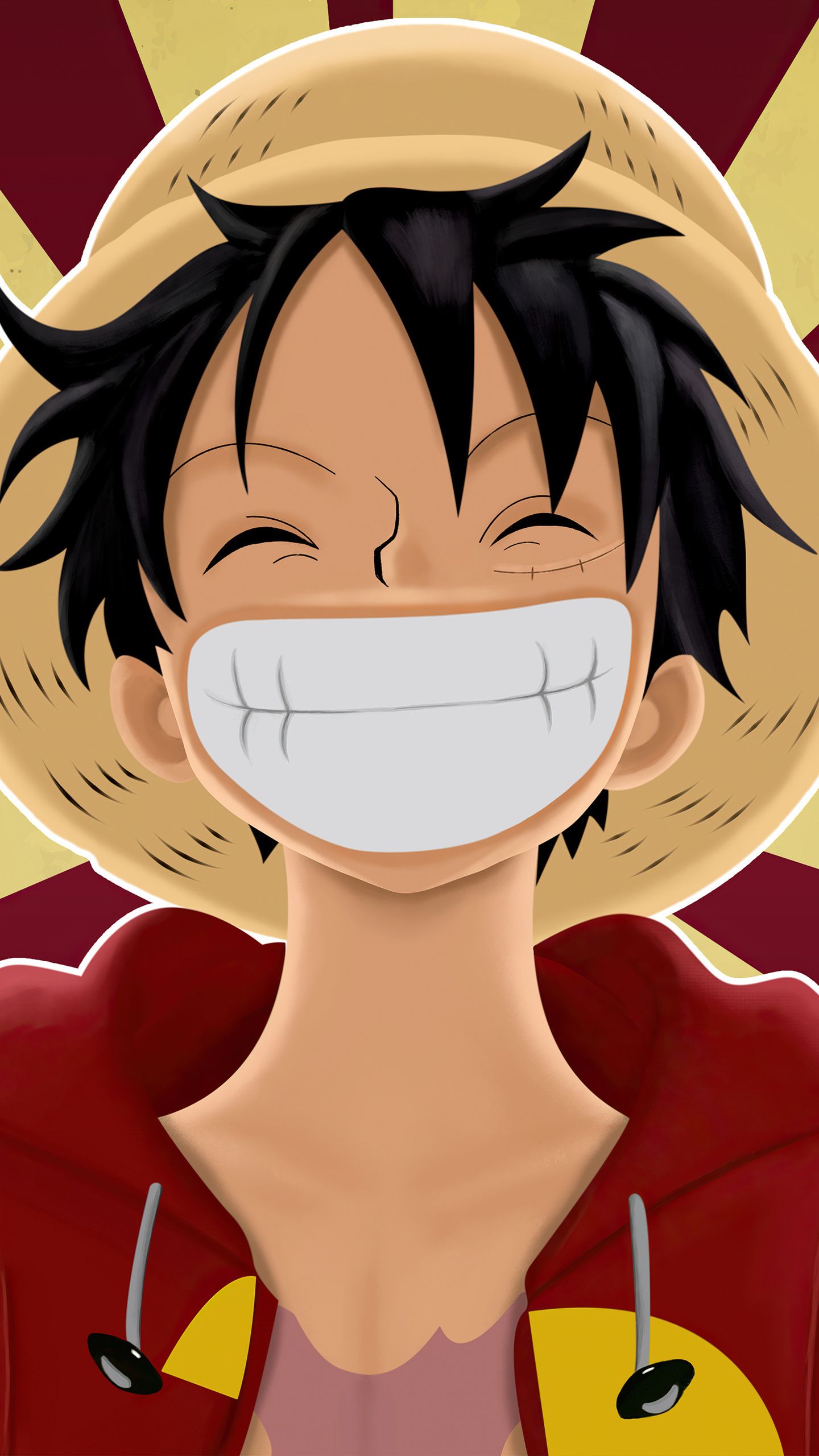 1440x2560 Monkey D. Luffy Wallpaper