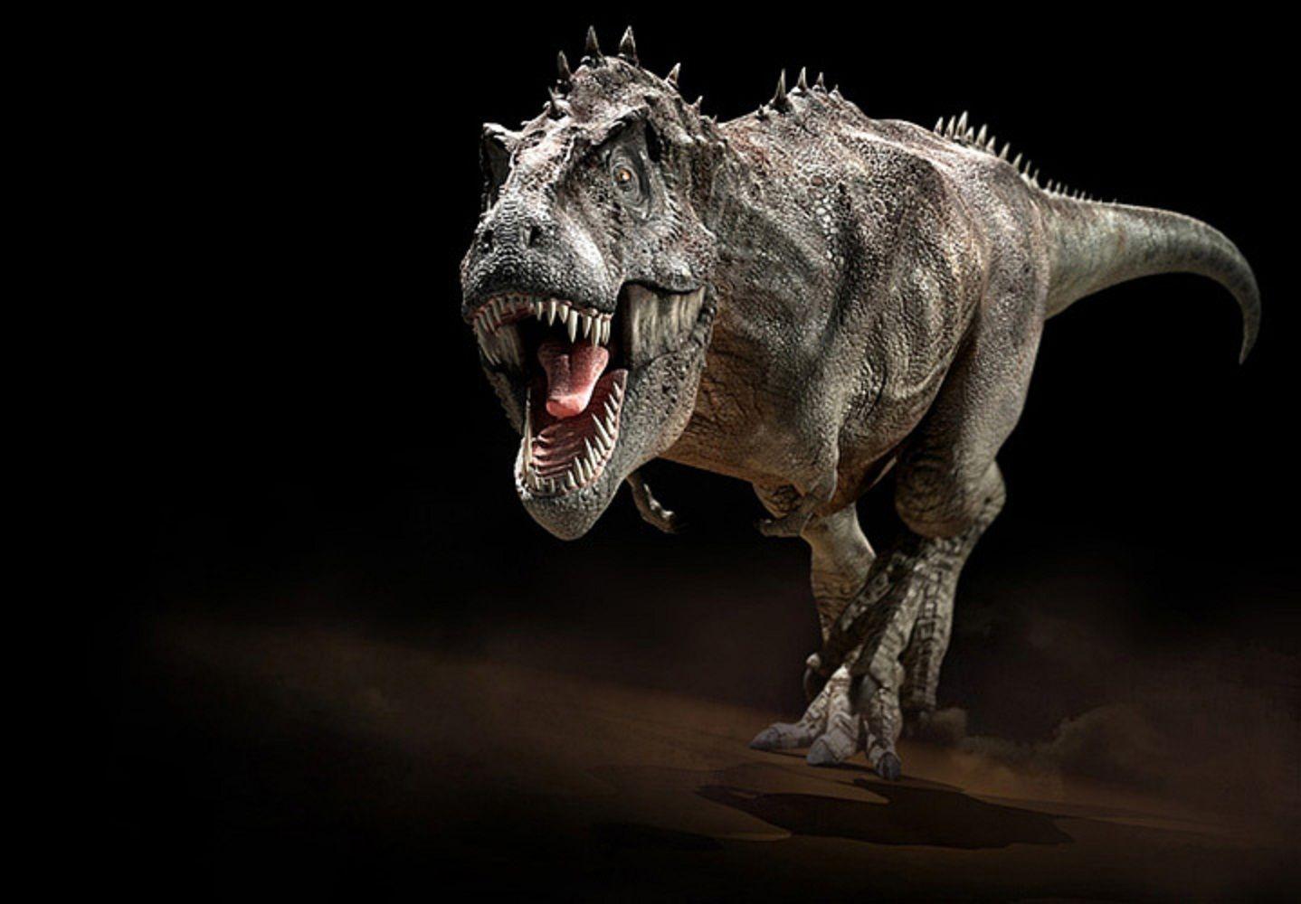 1438x1000 Free download Tyrannosaurus Rex Wallpaper [1438x1000]