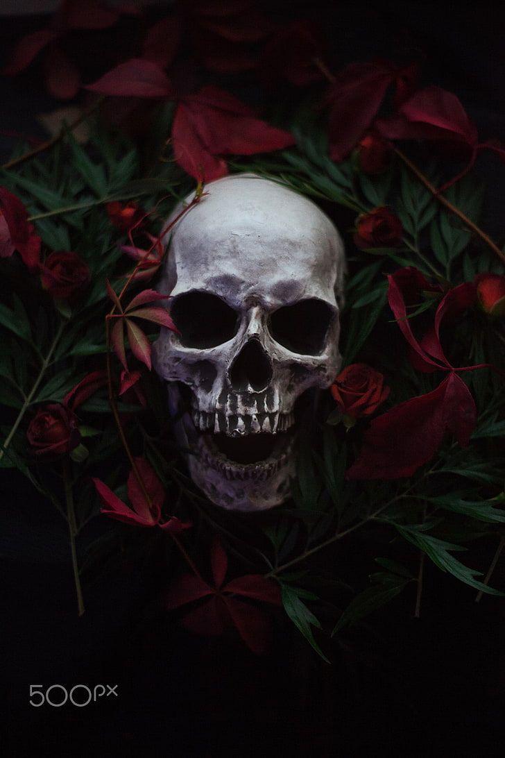 728x1092 HD wallpaper: skull, plants, 500px, Artem Phoenix, flowers