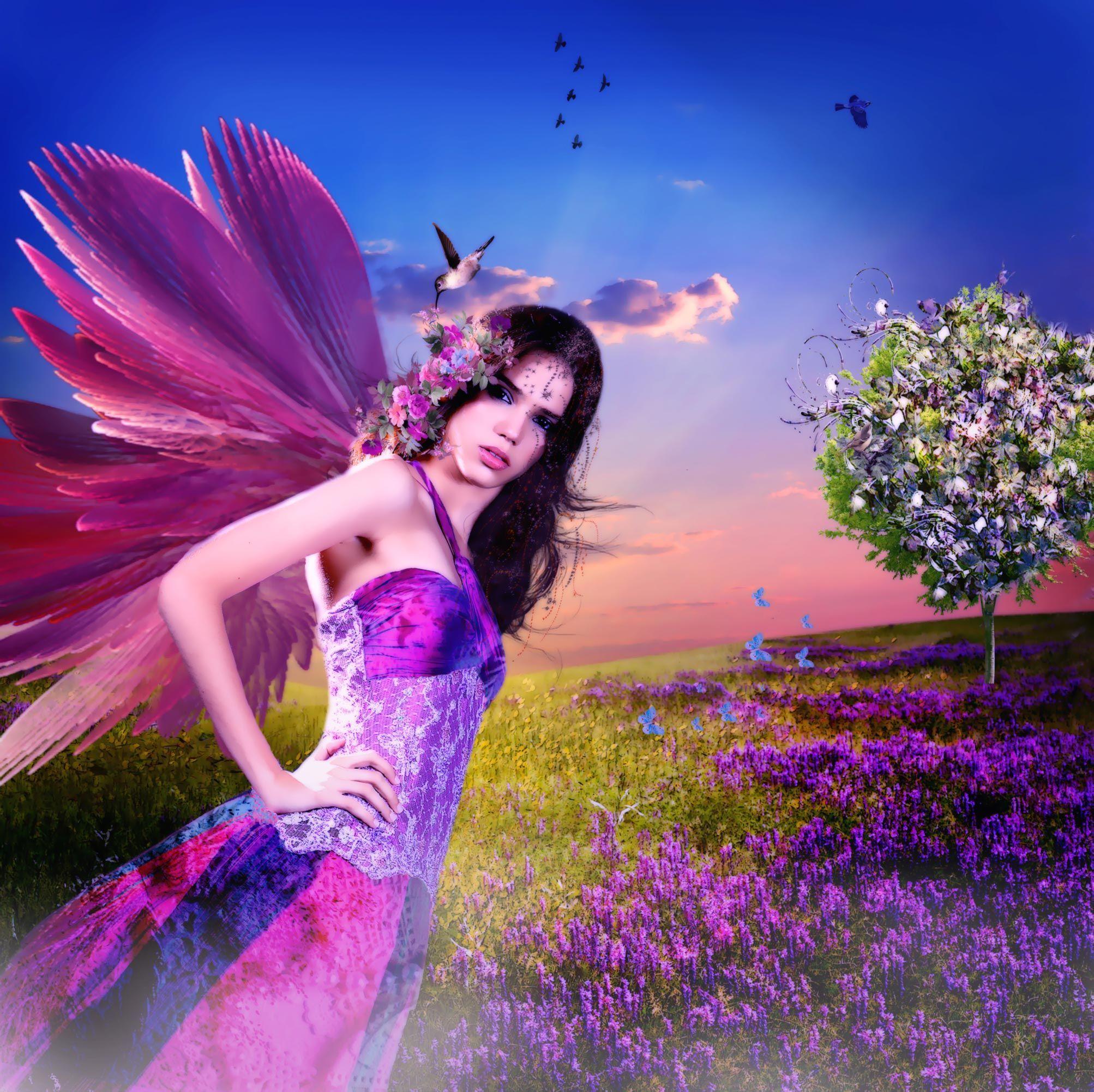 Butterfly Fairy Wallpapers - Top Free Butterfly Fairy Backgrounds ...