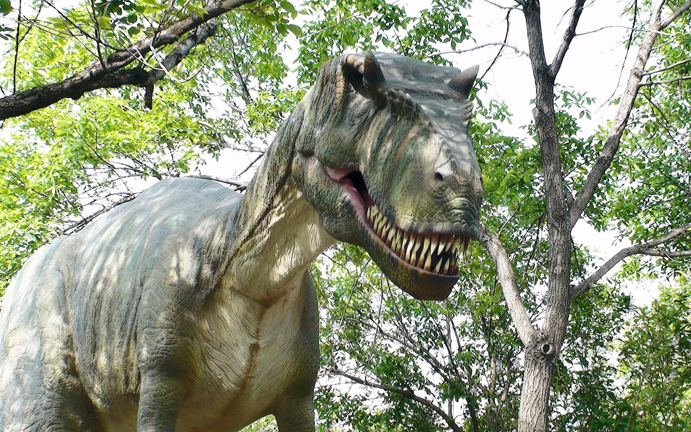 2304x1440 Tyrannosaurus Rex Wallpaper