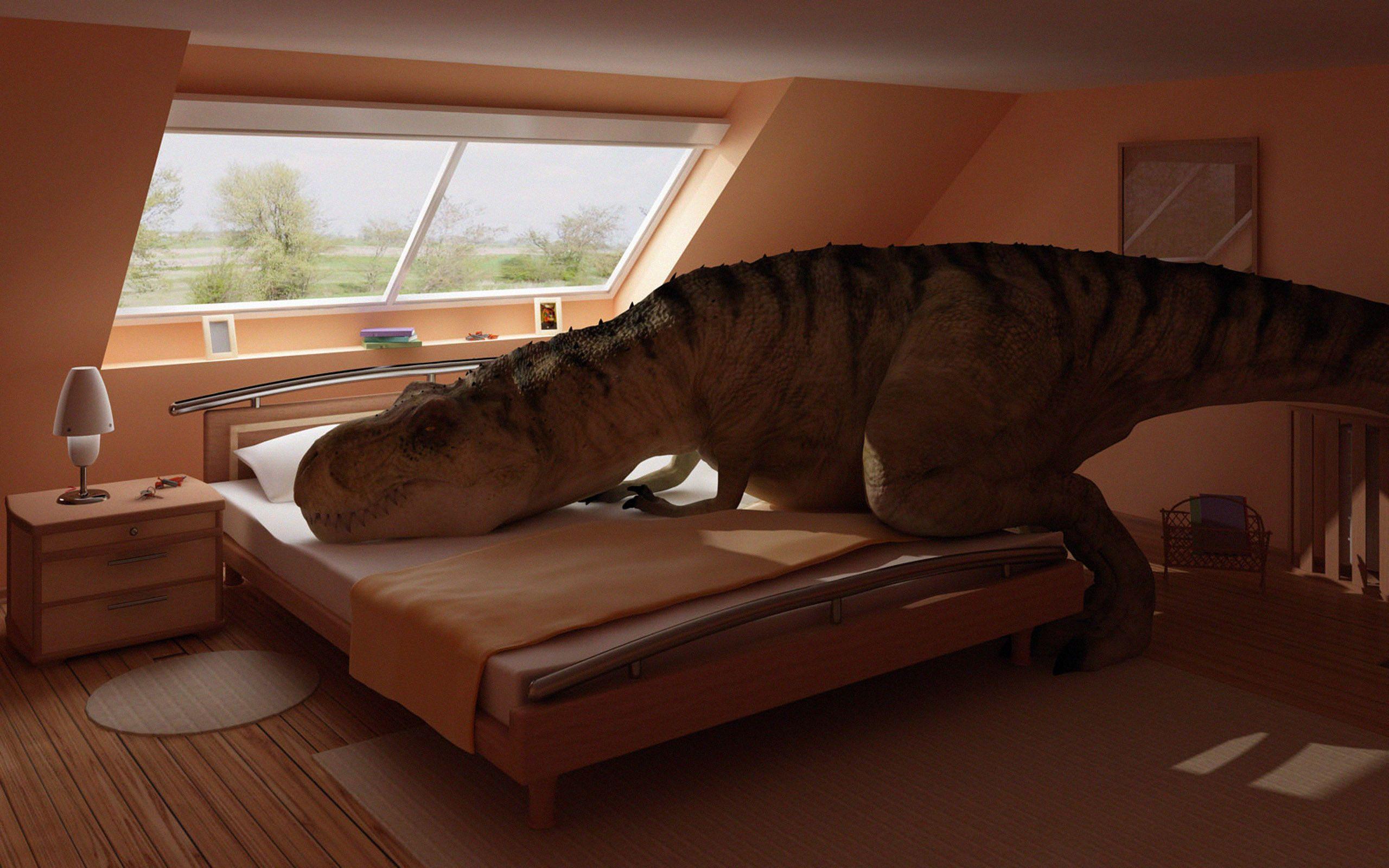2560x1600 Tyrannosaurus Rex, bedroom, dinosaurs wallpaper