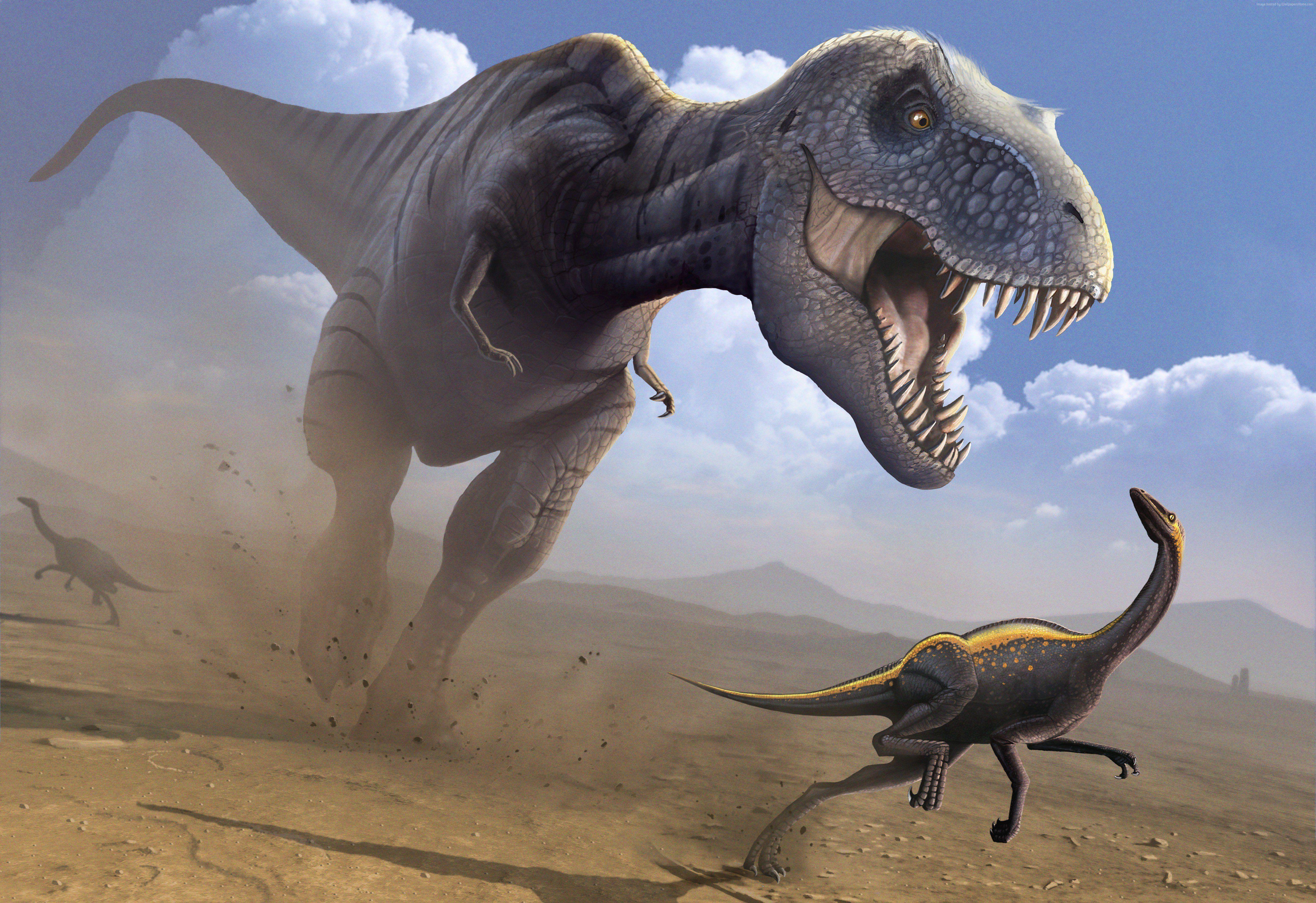 5315x3646 Dinosaurs Ancient animals Tyrannosaurus Rex Animals wallpaper