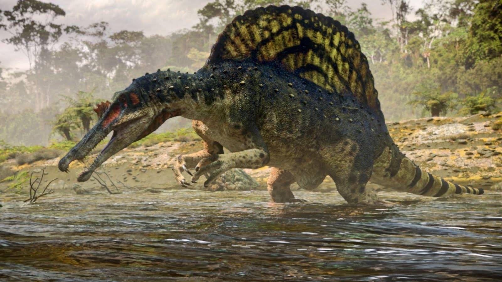 1600x900 Carnotaurus Wallpaper