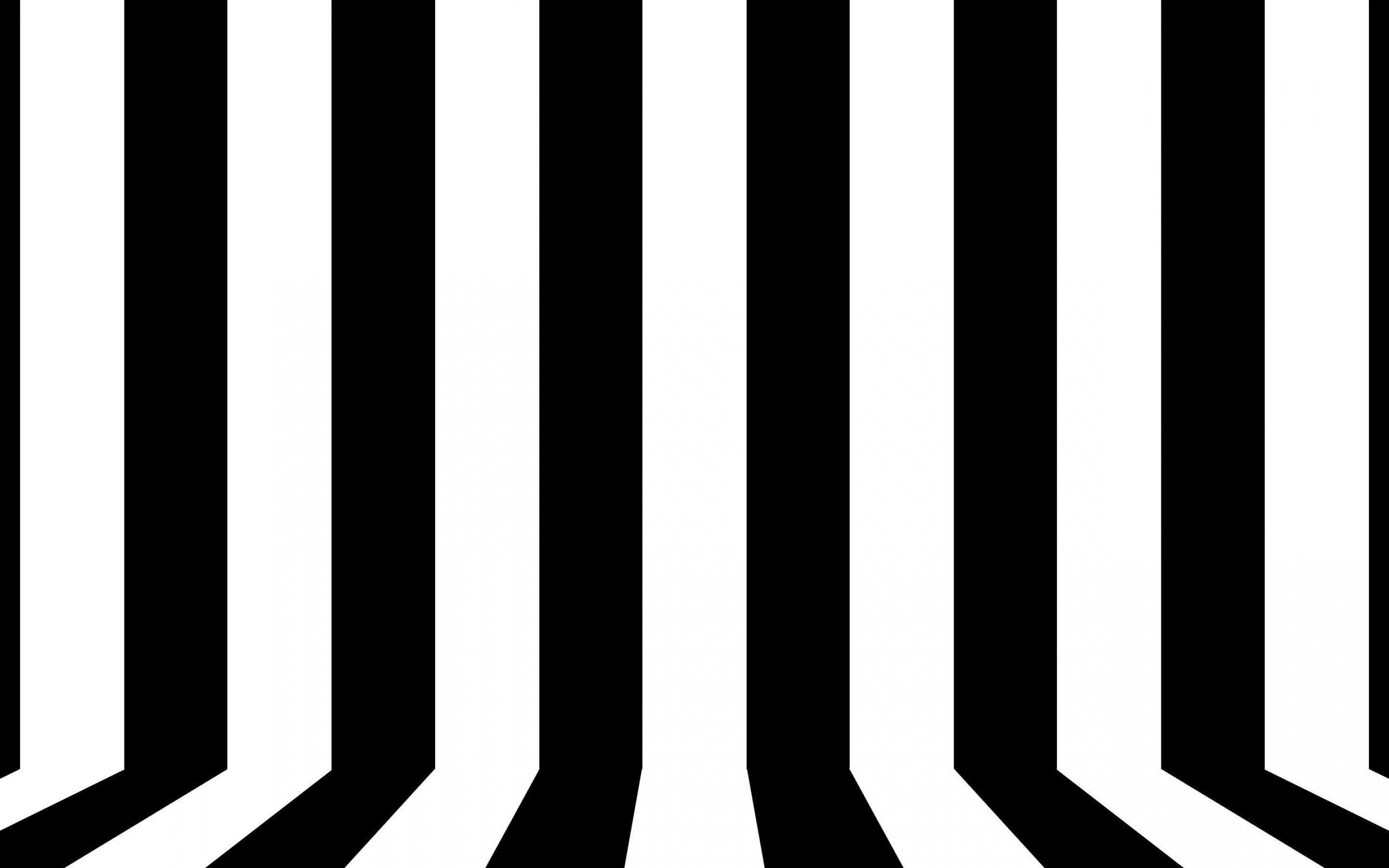 2880x1800 Black and white lines wallpaper. vector and designs. Wallpaper