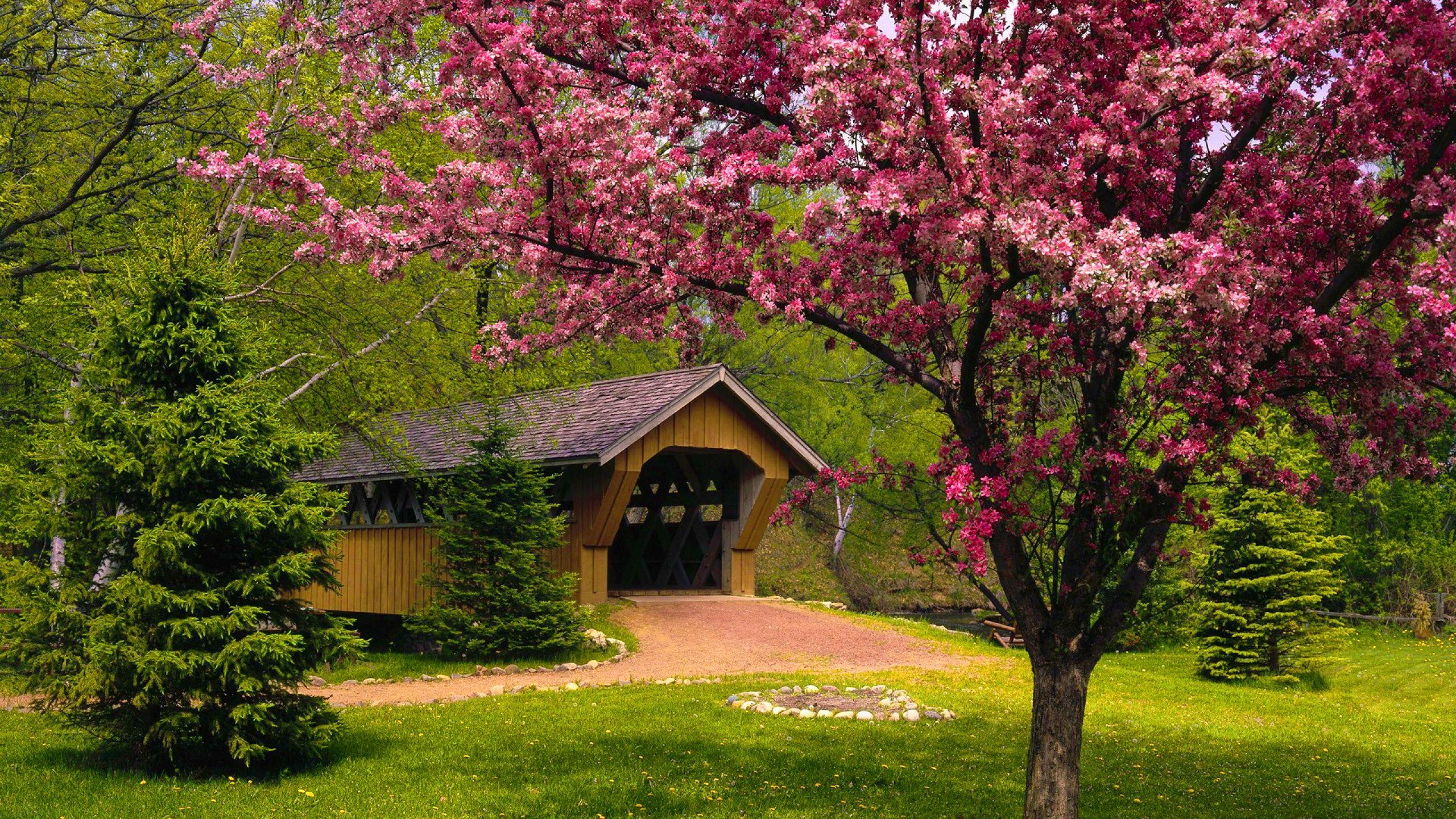 2560x1440 Free Spring Desktop Wallpaper And Image