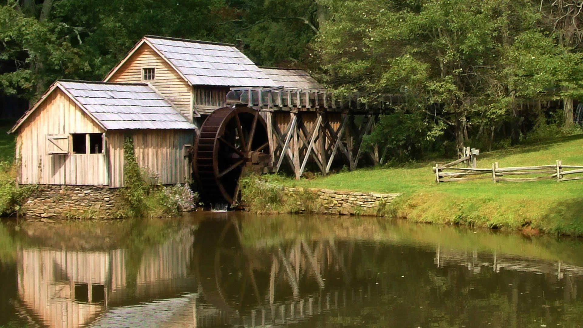 1920x1080 Wallpaper Of Nature For Desktop Animal HD 3D Beauty Mill