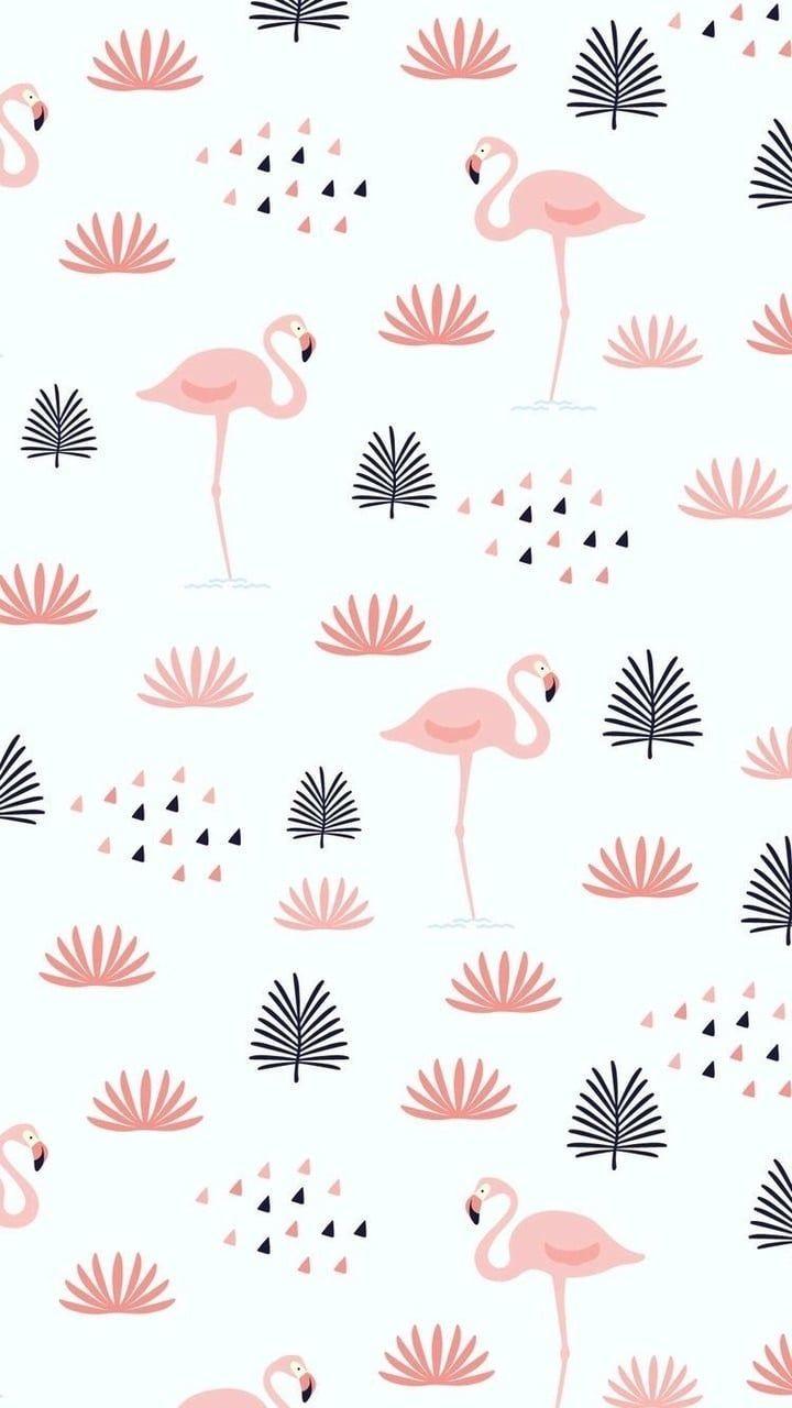 Flamingo Wallpaper 54 images