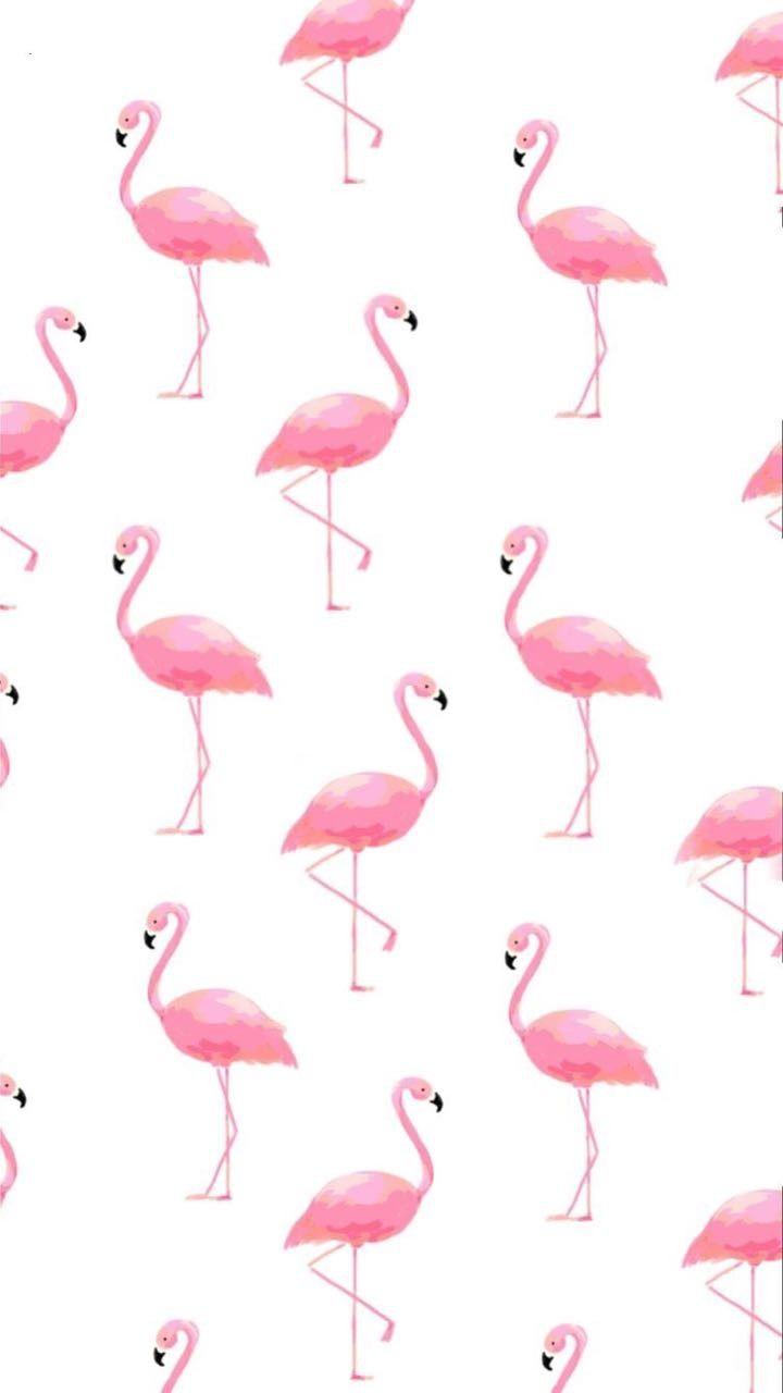 720x1280 Idea by Carol Yates on Free paper. Flamingo wallpaper, Cellphone