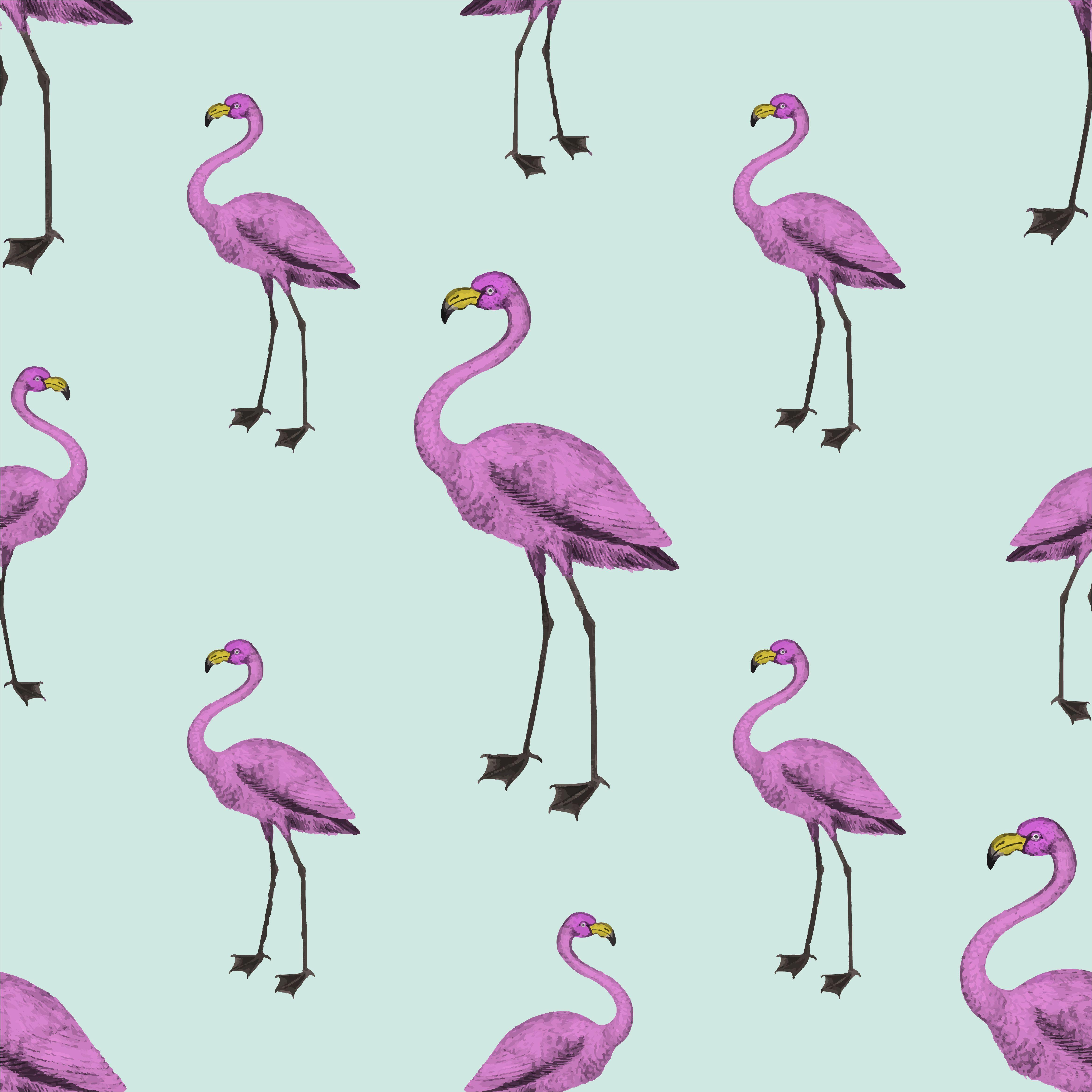 4676x4676 Pink flamingo wallpaper Free Vectors, Clipart Graphics