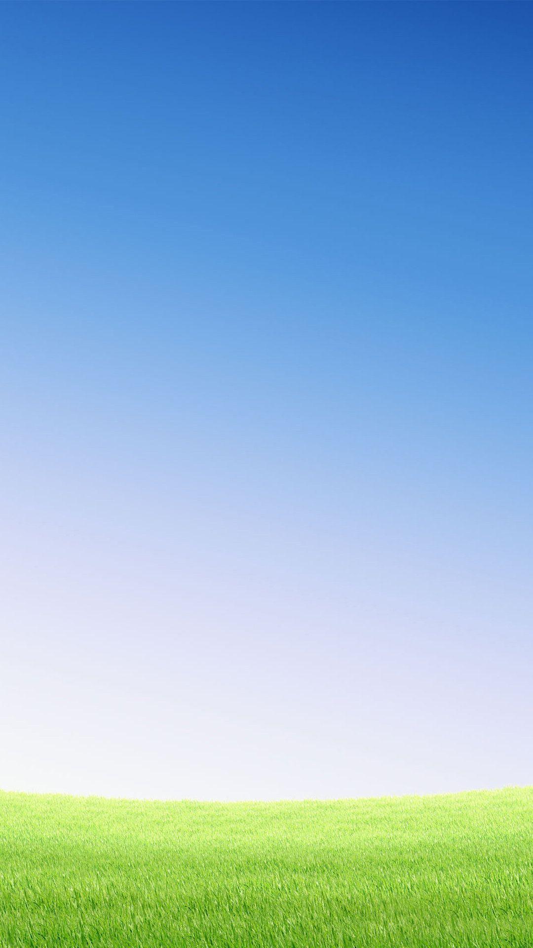1080x1920 Green grass and blue sky scenery for android