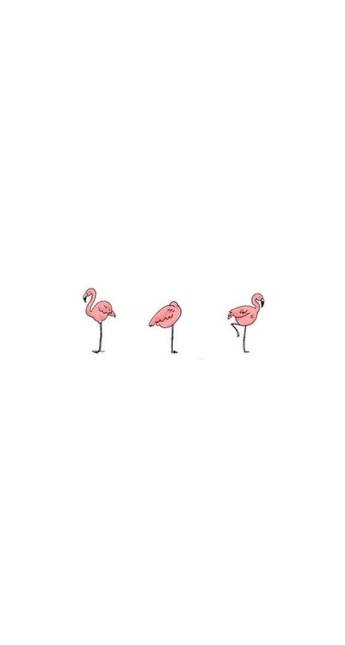 Cute Flamingo Wallpapers - Top Free Cute Flamingo Backgrounds ...