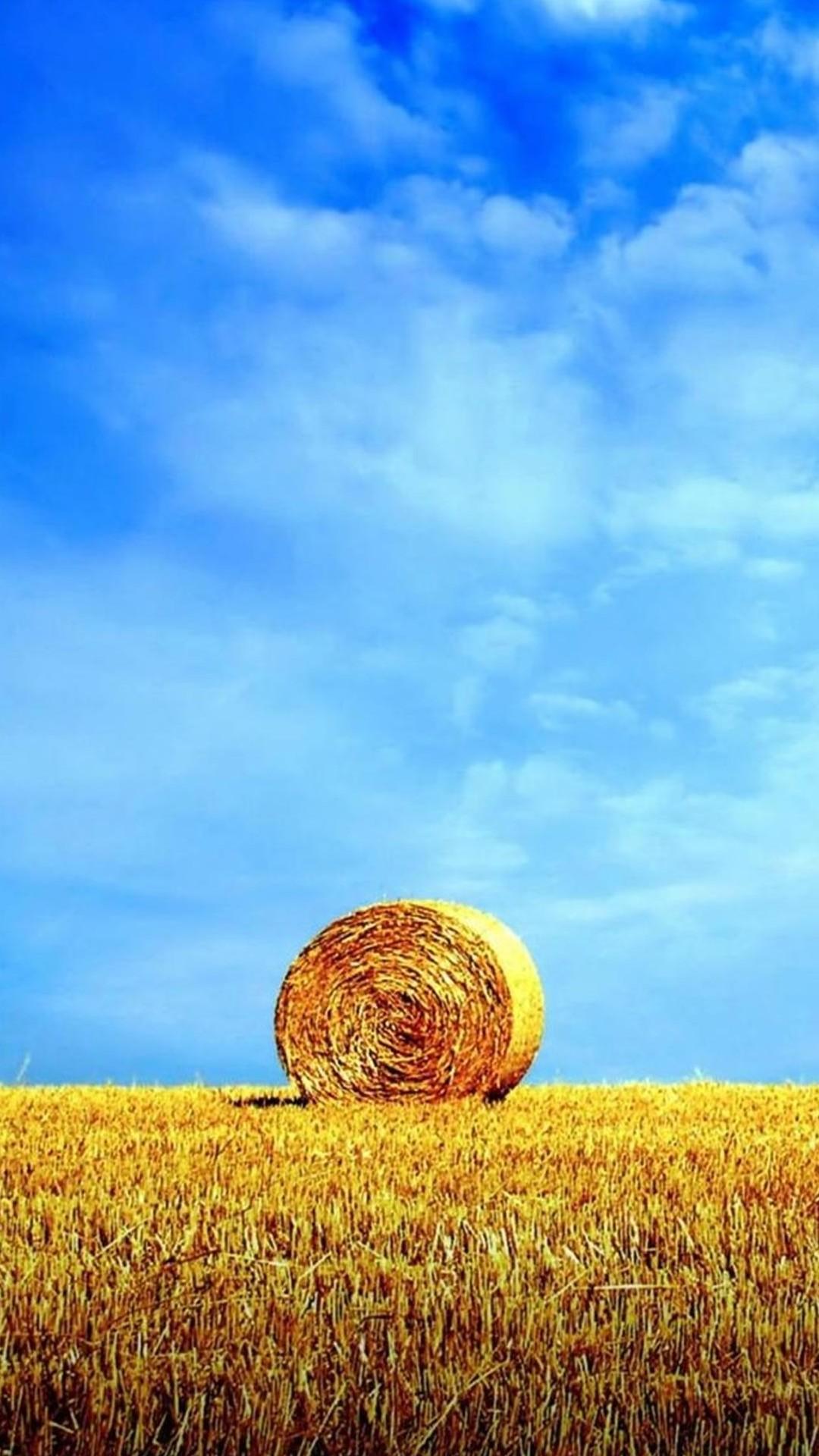 1080x1920 Samsung Galaxy Note 3 Wallpaper