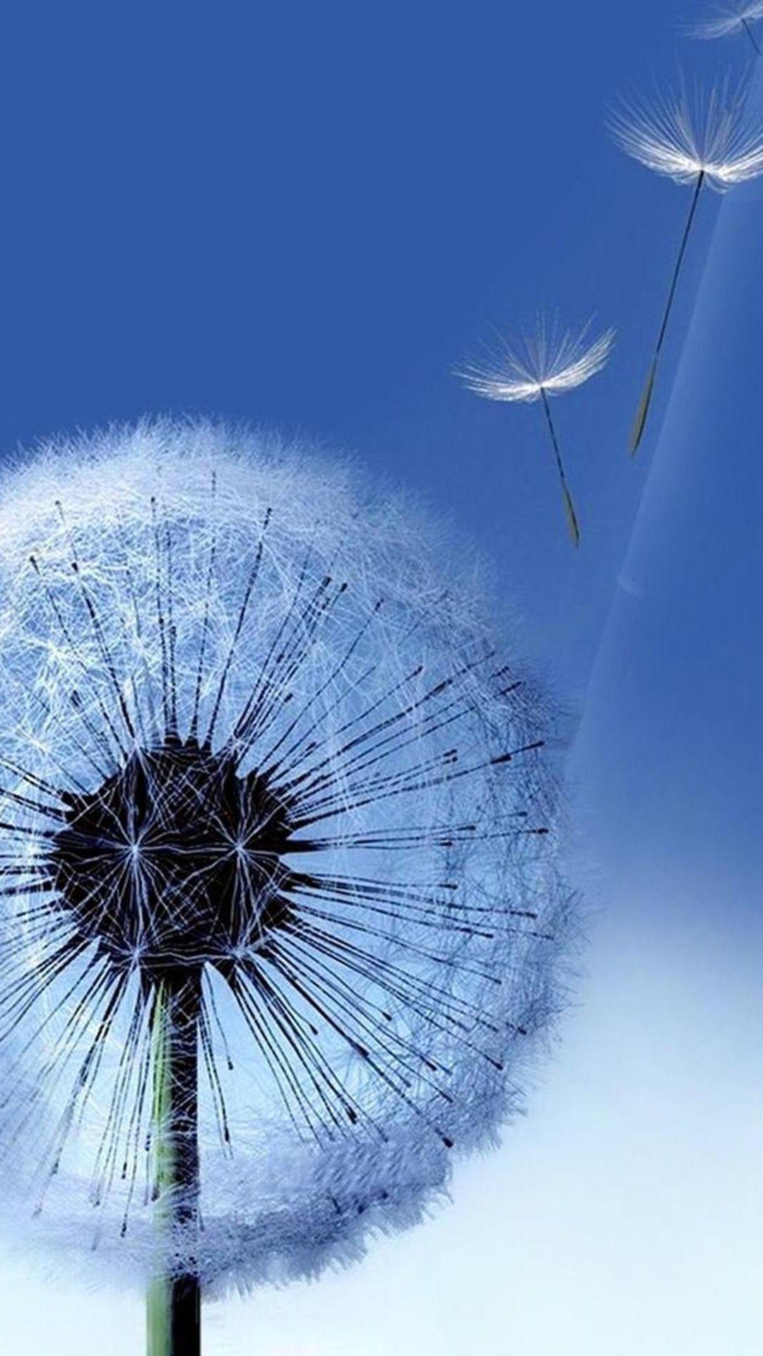 1080x1920 Samsung Galaxy Note 3 Wallpaper Wallpaper