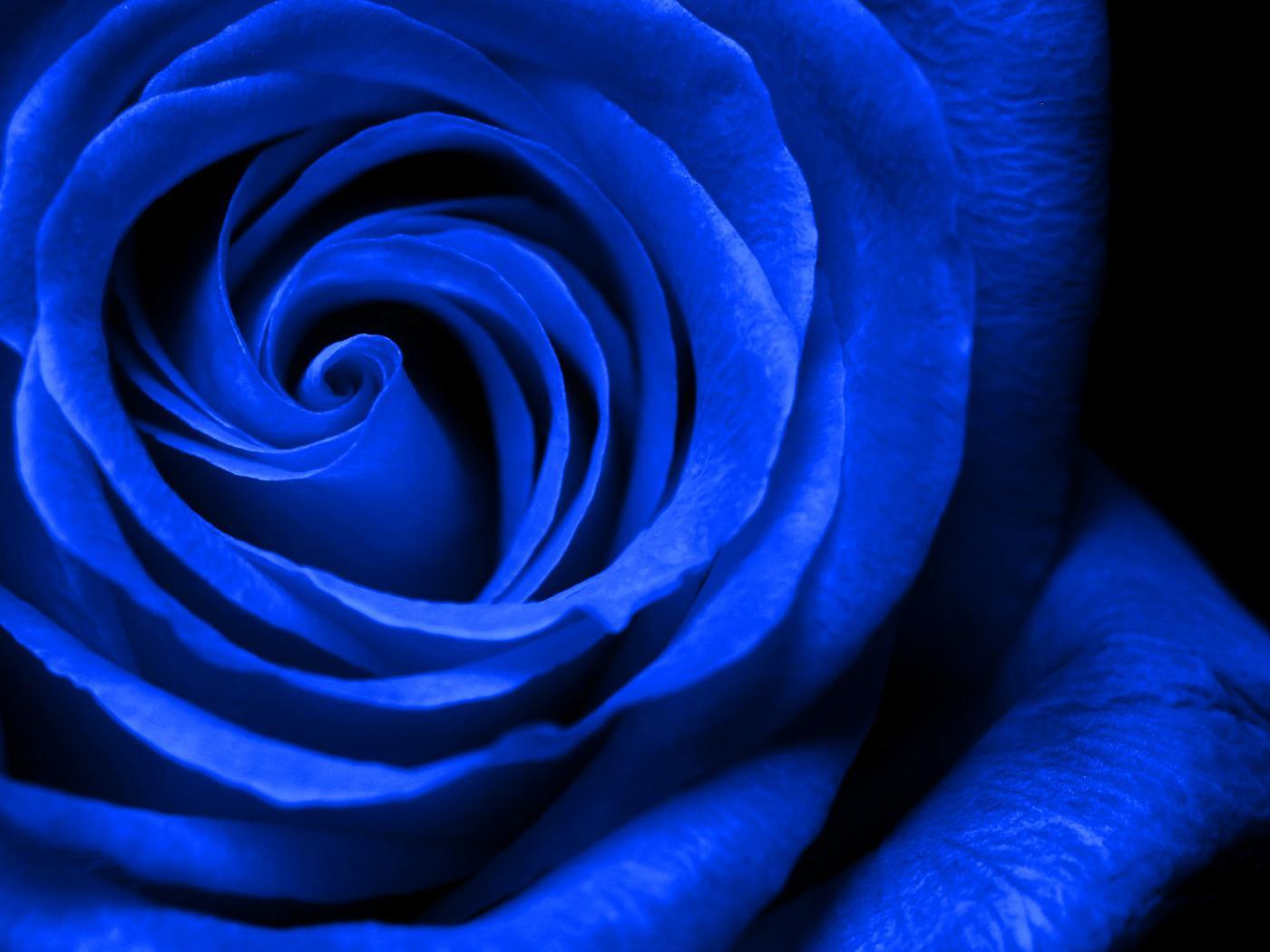 1400x1050 wallpaper royal blue royal blue wallpaper 2 HD Wallpaper