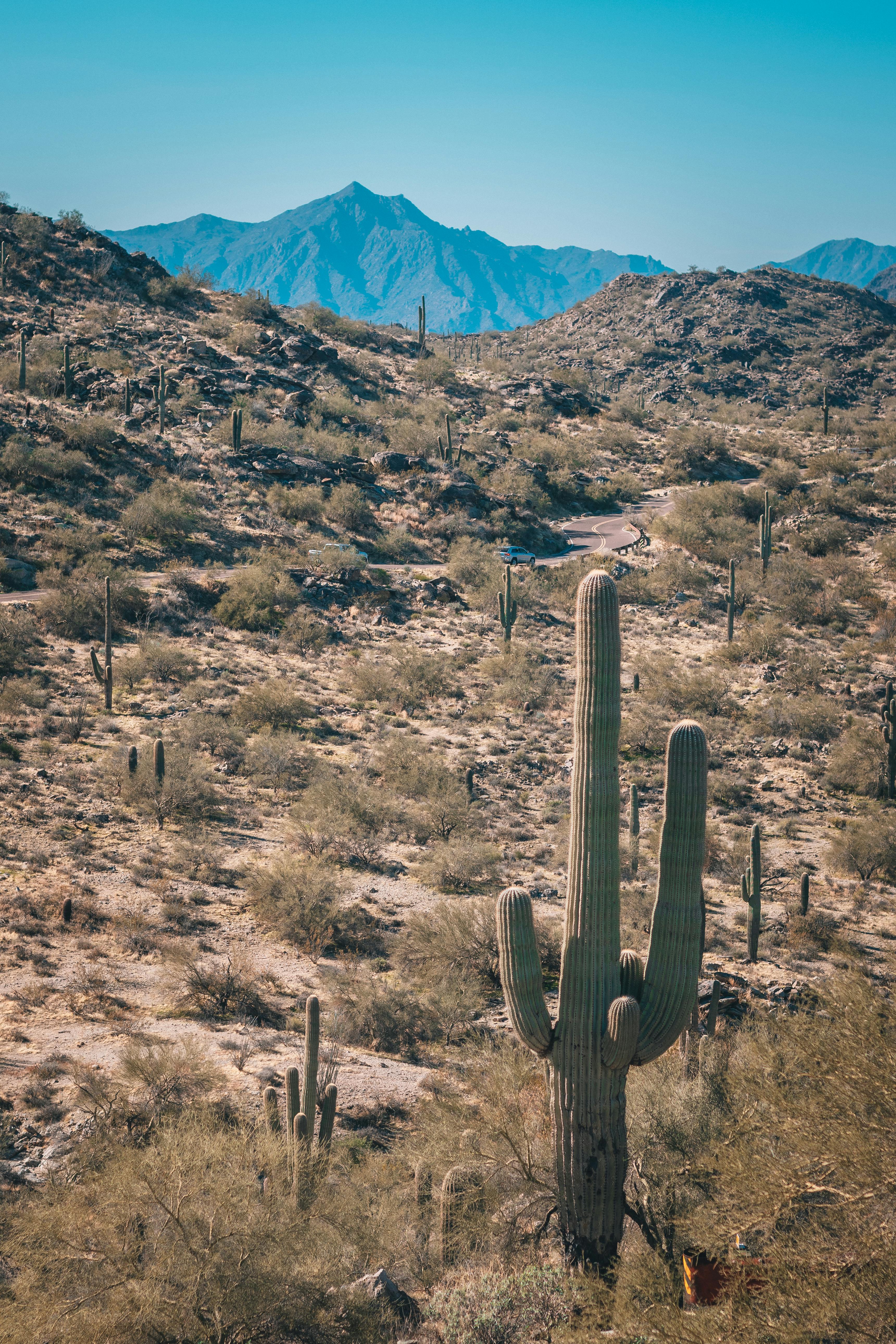 3441x5162 Phoenix Arizona Photo, Download The BEST Free Phoenix Arizona & HD Image